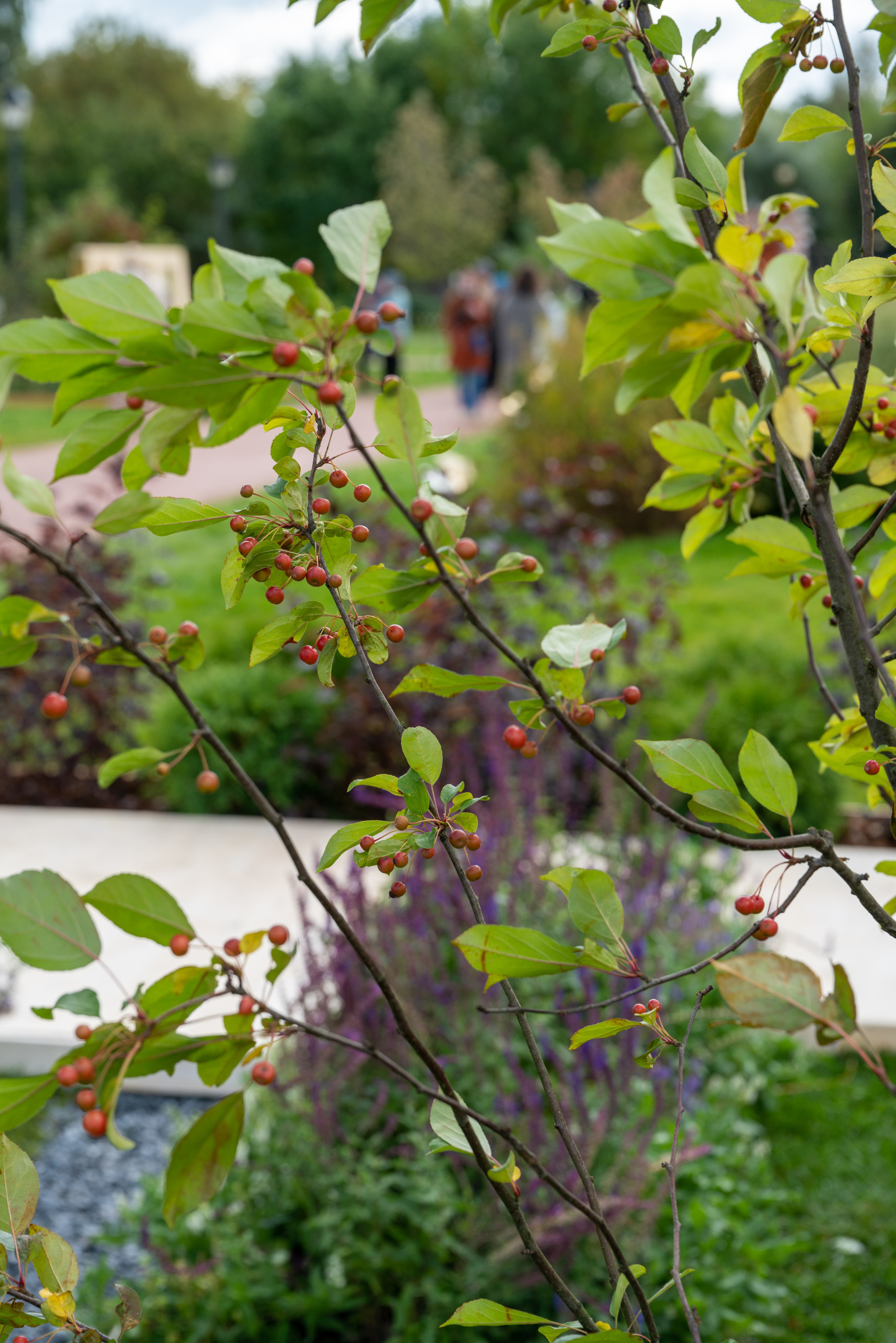 Сад недели: с огородом, кортеном и «живоносным источником»
