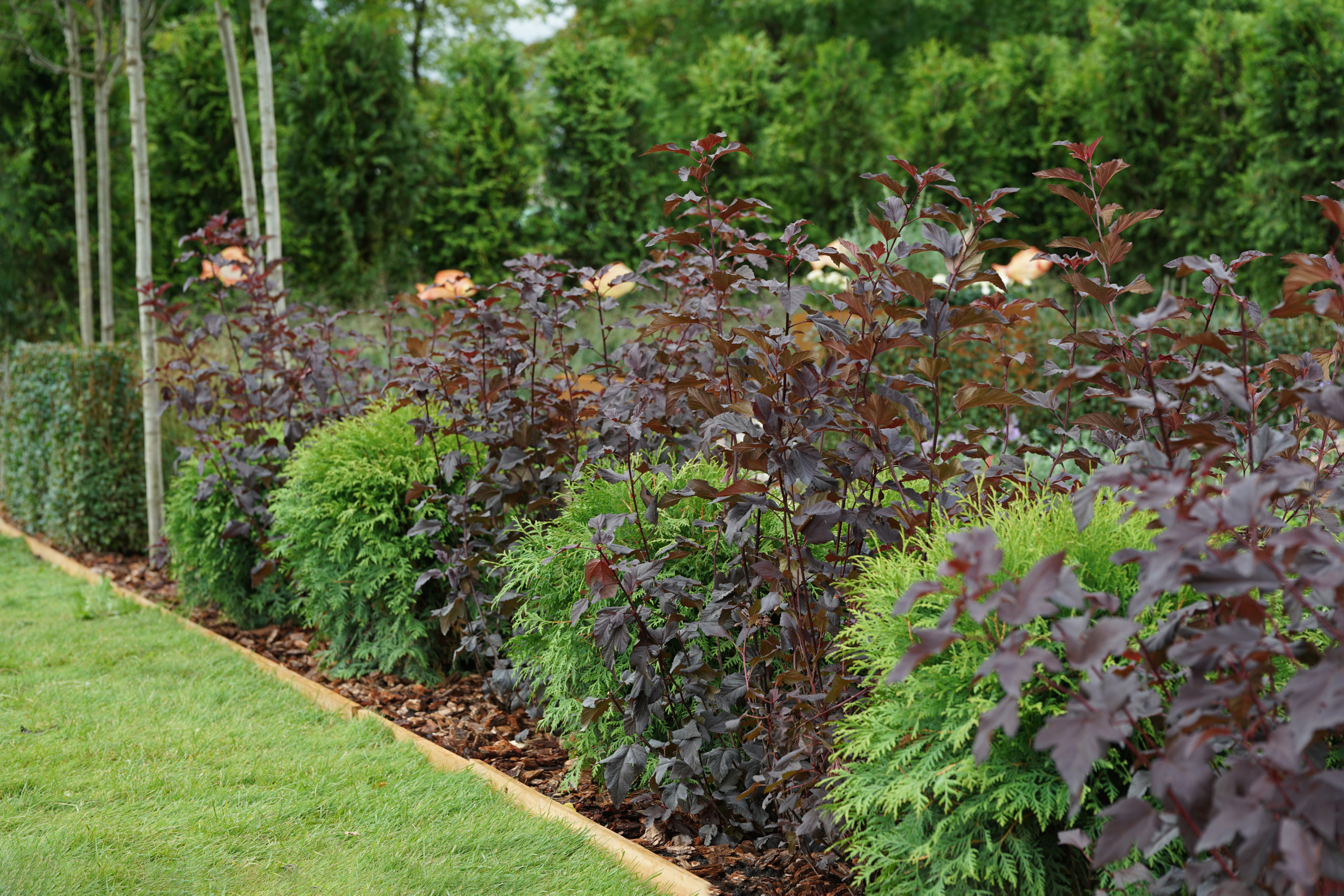 Сад недели: с огородом, кортеном и «живоносным источником»