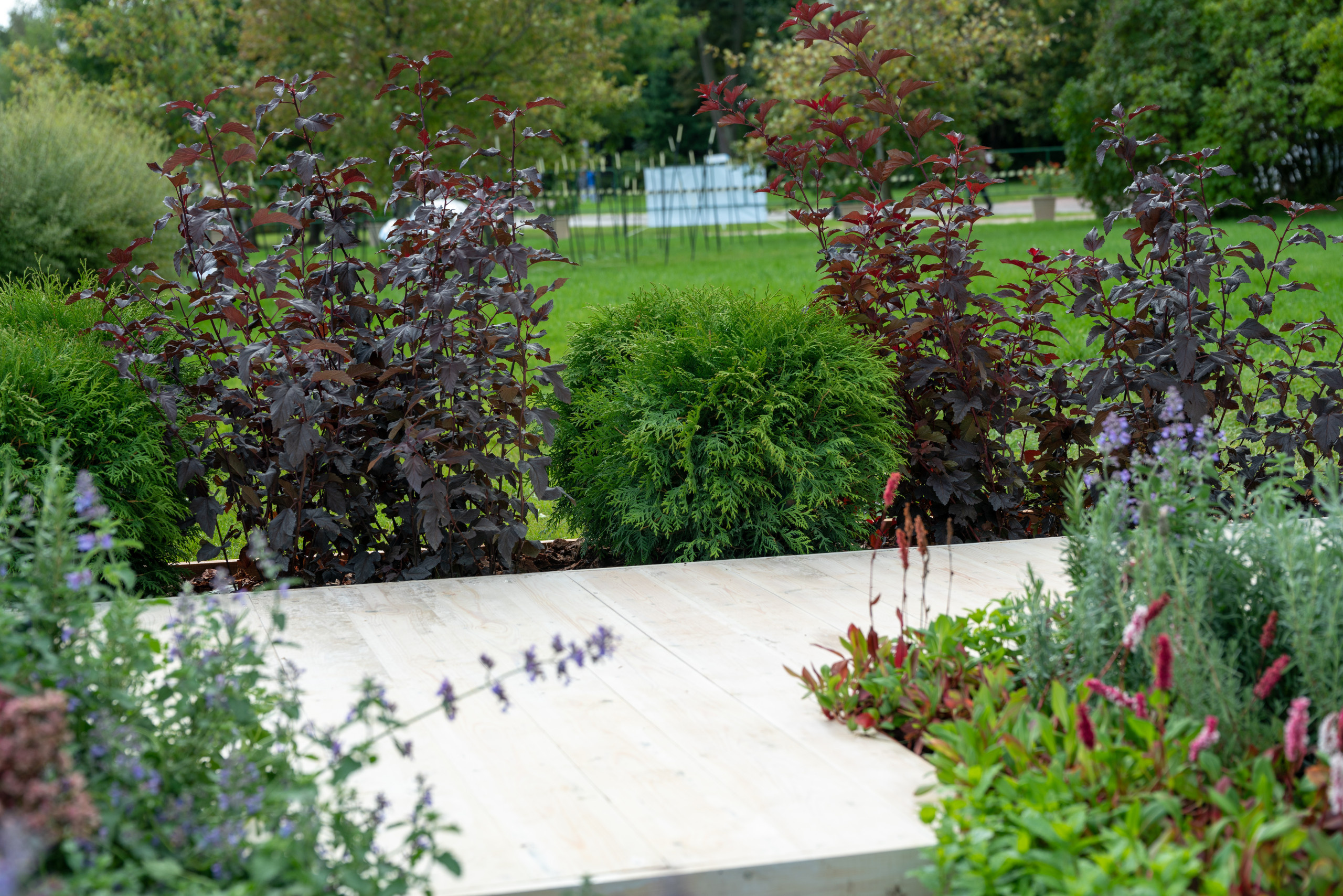 Сад недели: с огородом, кортеном и «живоносным источником»