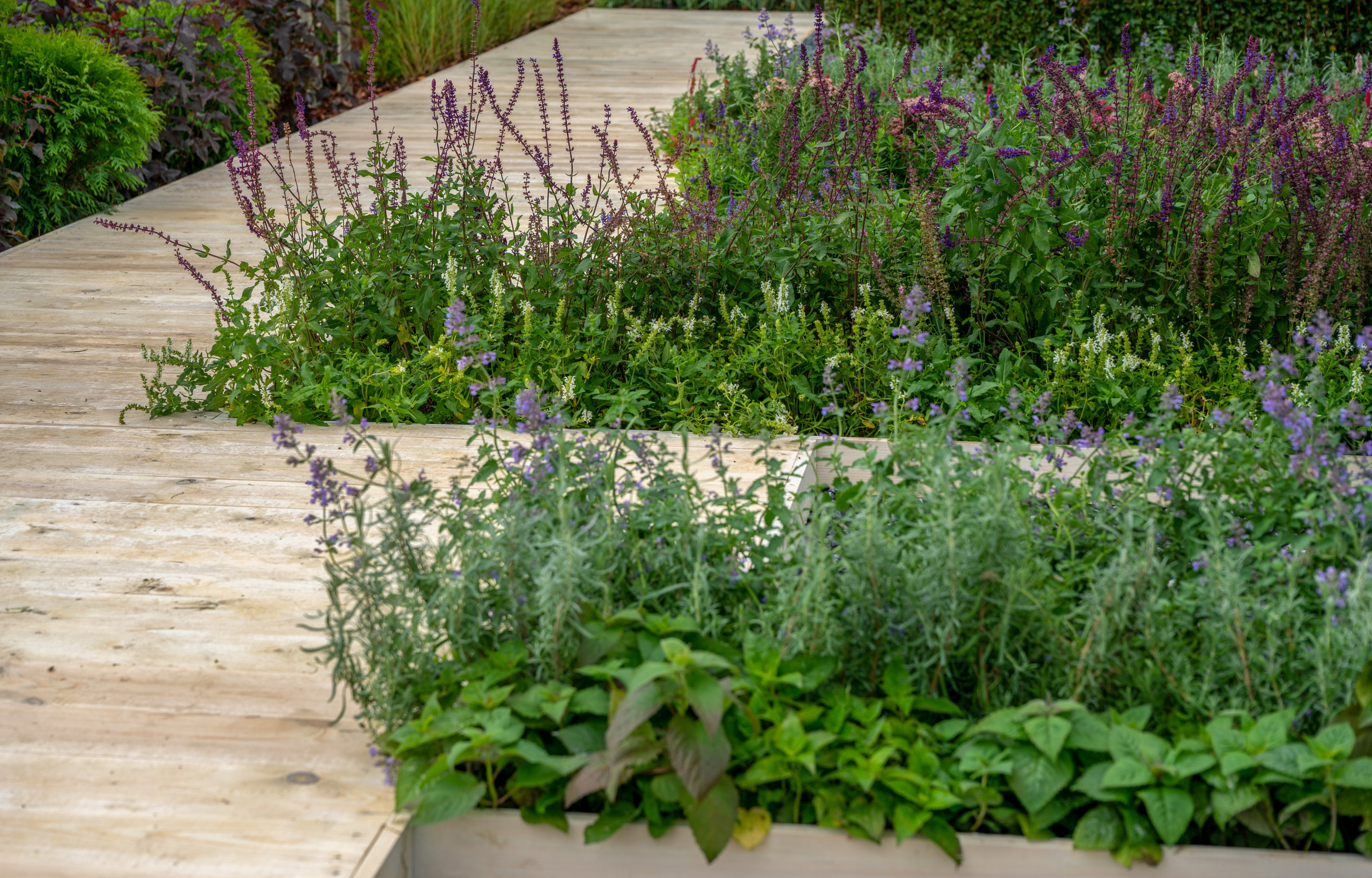 Сад недели: с огородом, кортеном и «живоносным источником»