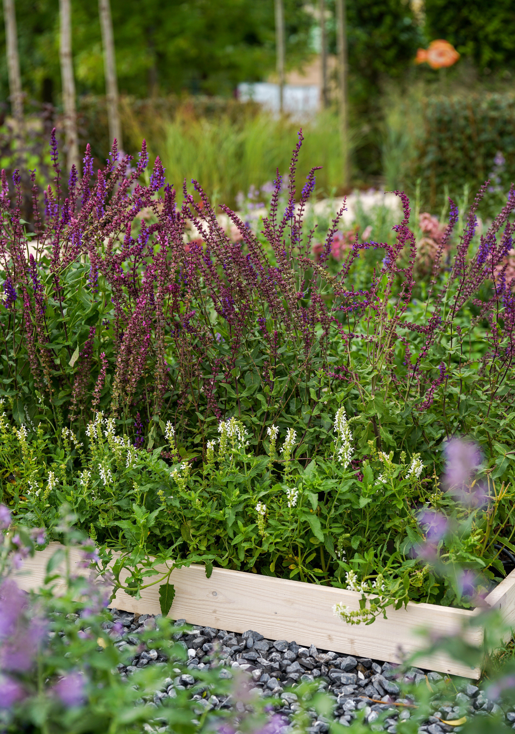 Сад недели: с огородом, кортеном и «живоносным источником»