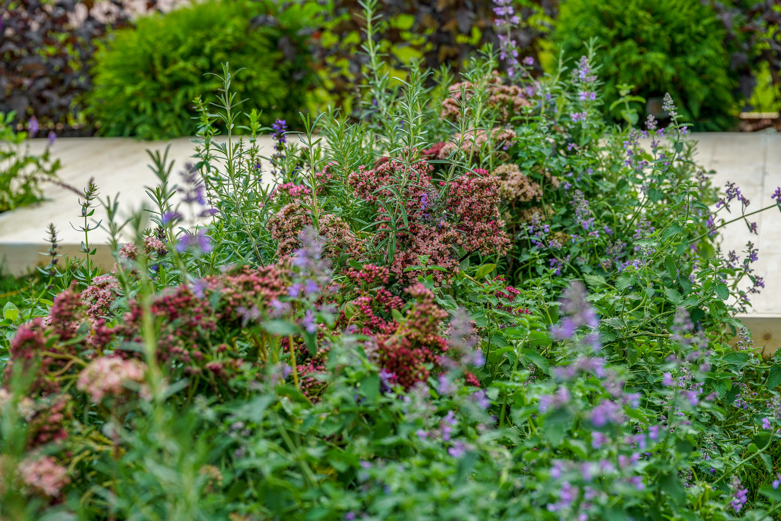 Сад недели: с огородом, кортеном и «живоносным источником»