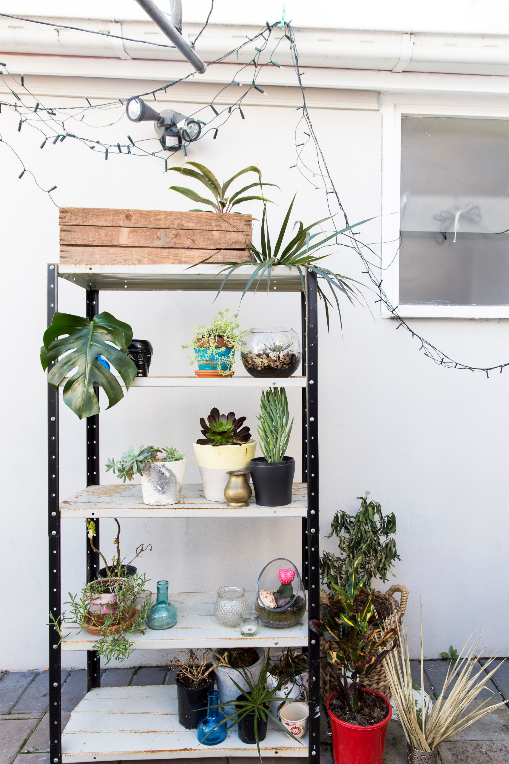 Мир дизайна: 10 способов жить в гармонии   с соседями по квартире