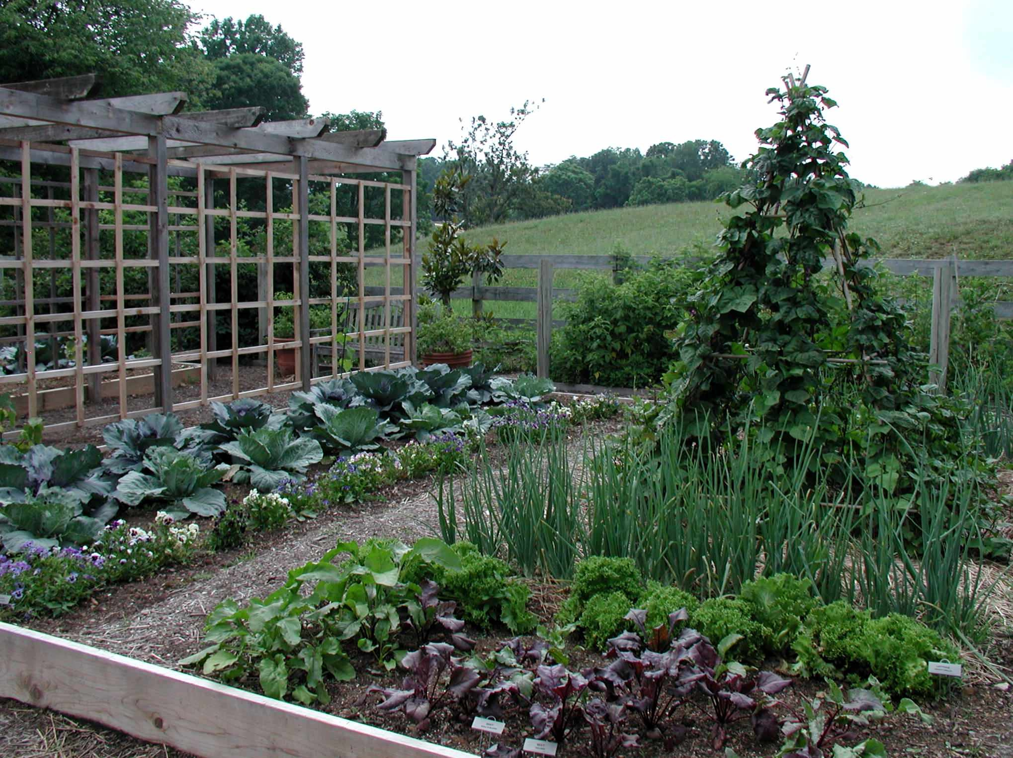 Готовимся к зиме: Копать или не копать — вот в чем вопрос