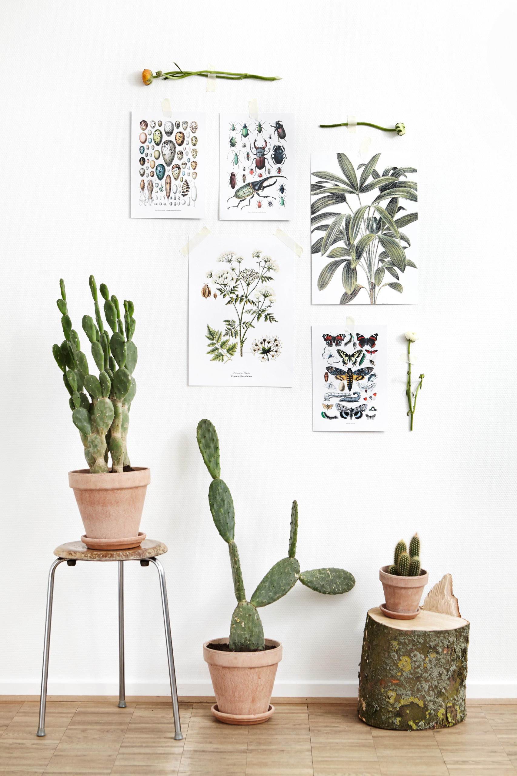 Мир дизайна: Как «поколение на колесах» изменило скандинавский дизайн