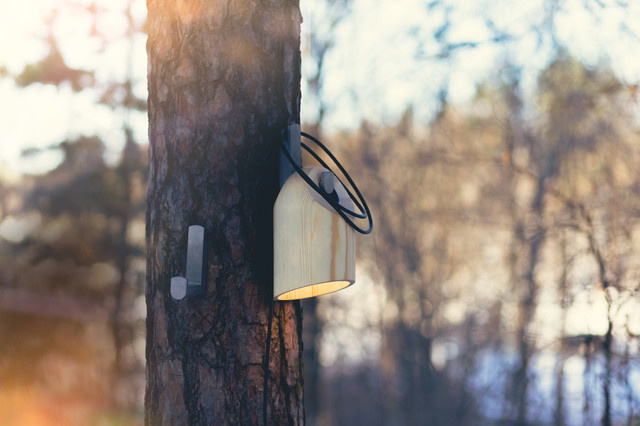 Мир дизайна: Как «поколение на колесах» изменило скандинавский дизайн