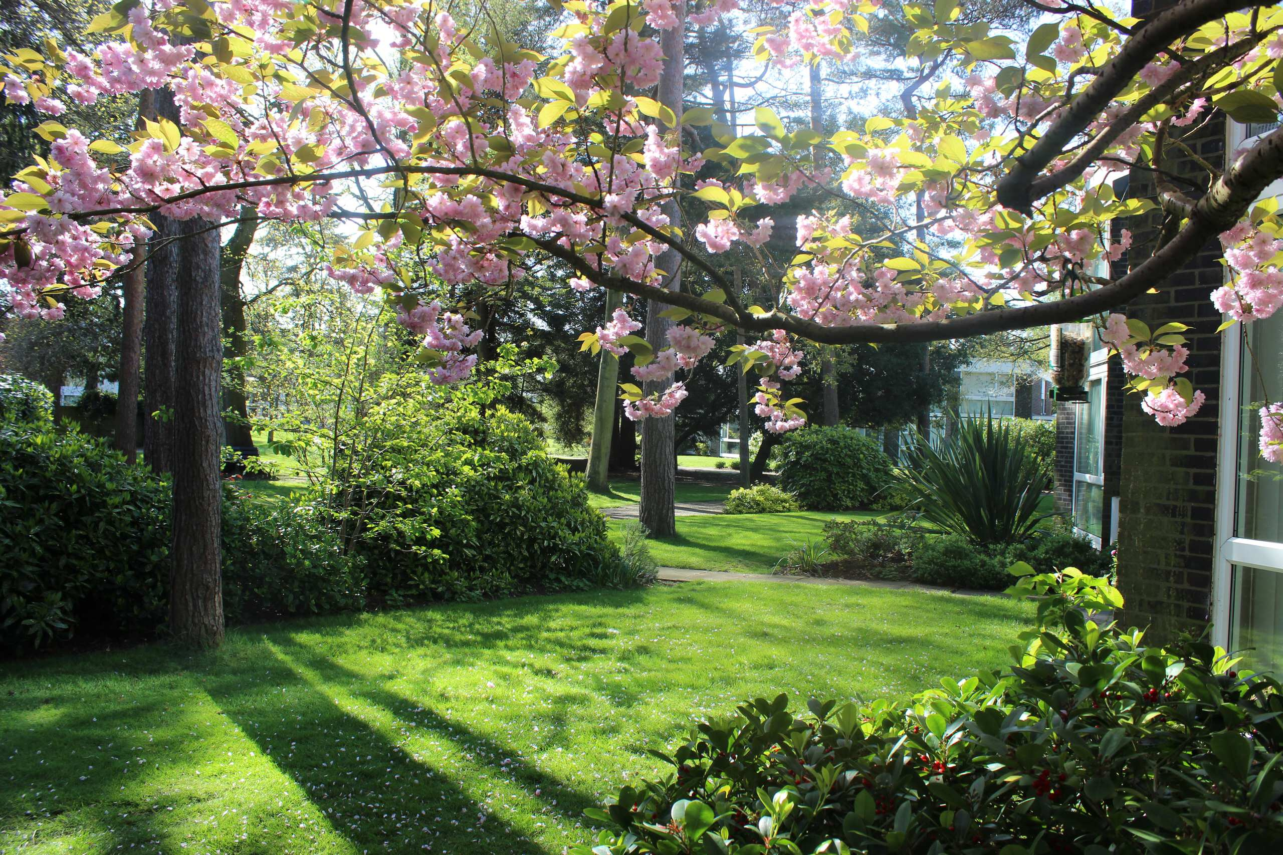 Мир дизайна: Как использовать приемы Ланселота Брауна в маленьком саду