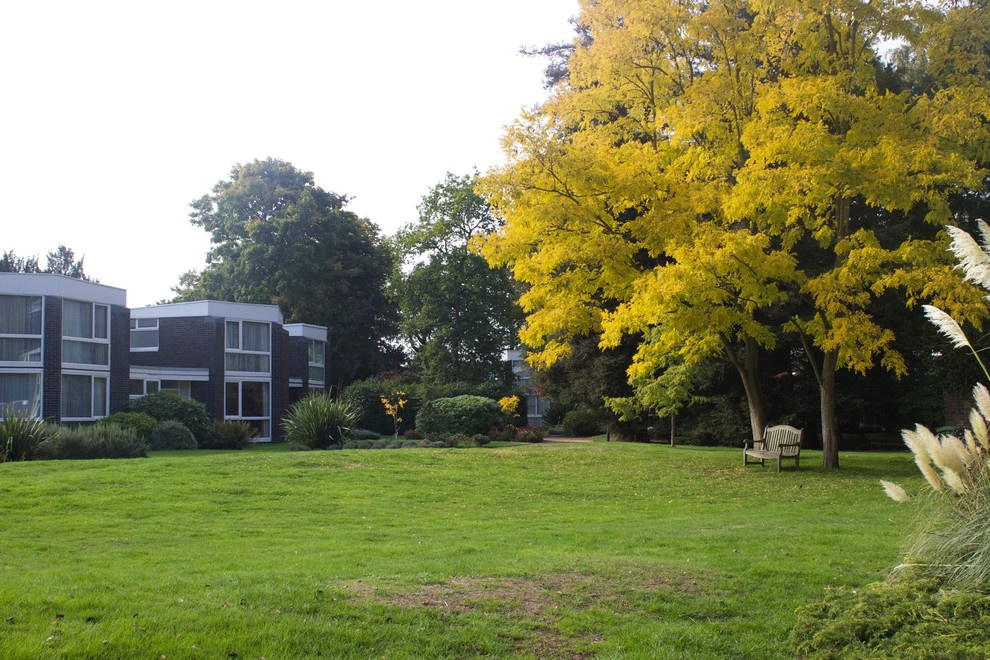 Мир дизайна: Как использовать приемы Ланселота Брауна в маленьком саду