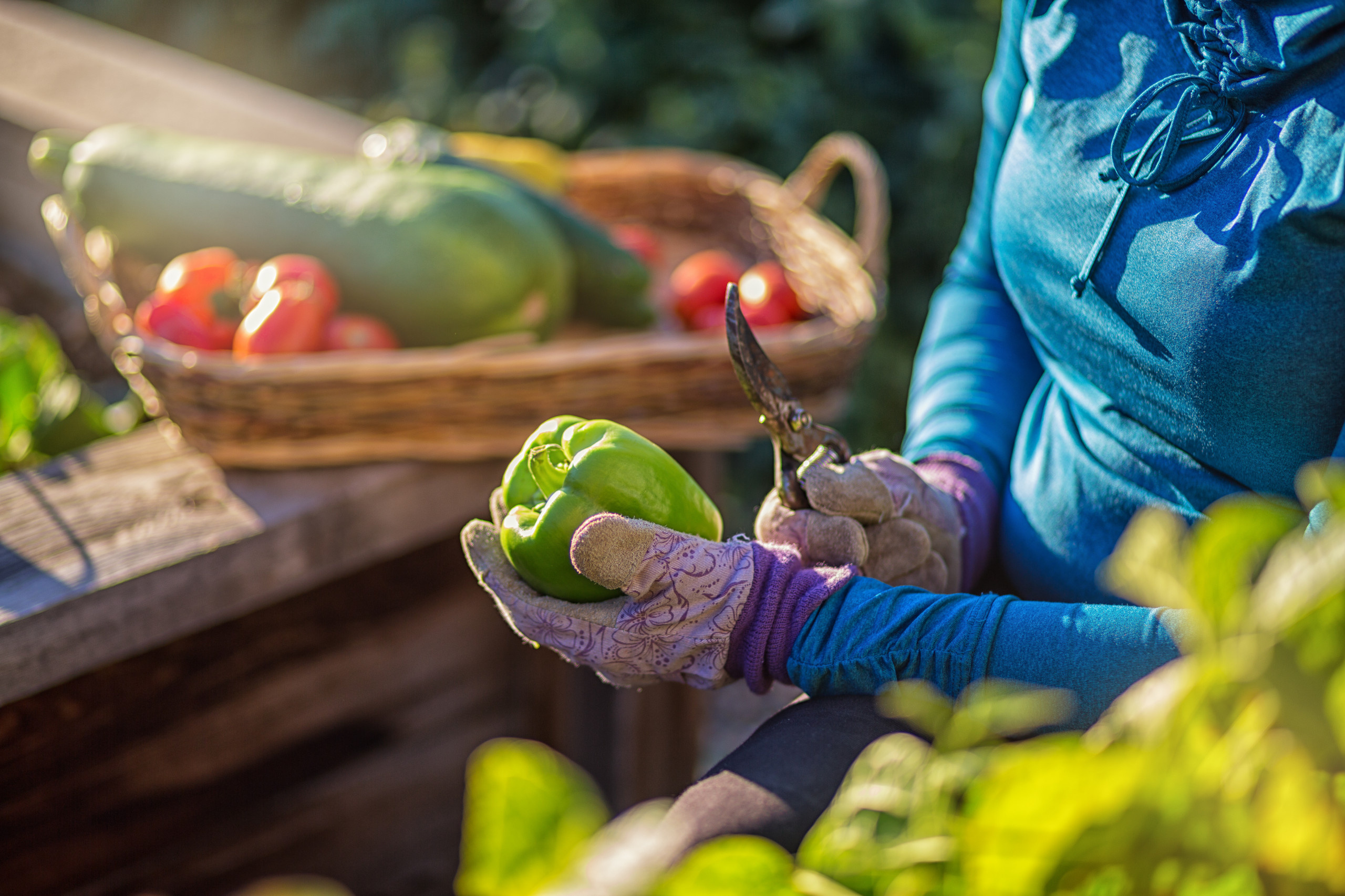 6 способов, как соседи могут помогать друг другу