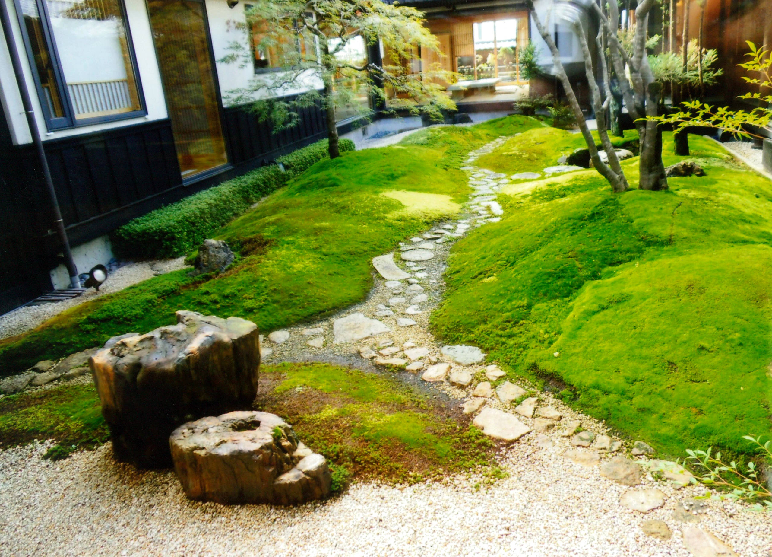 Японский чайный сад: Как создать его самостоятельно