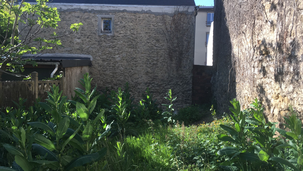 До и после: Участок, переделанный вслед за домом