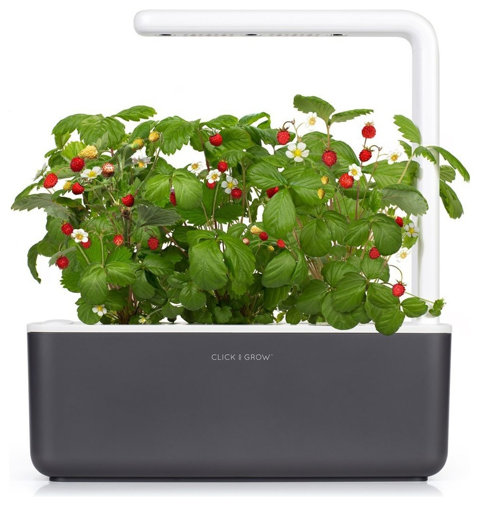 Гаджет для петрушки: Наблюдает, ухаживает, передает...