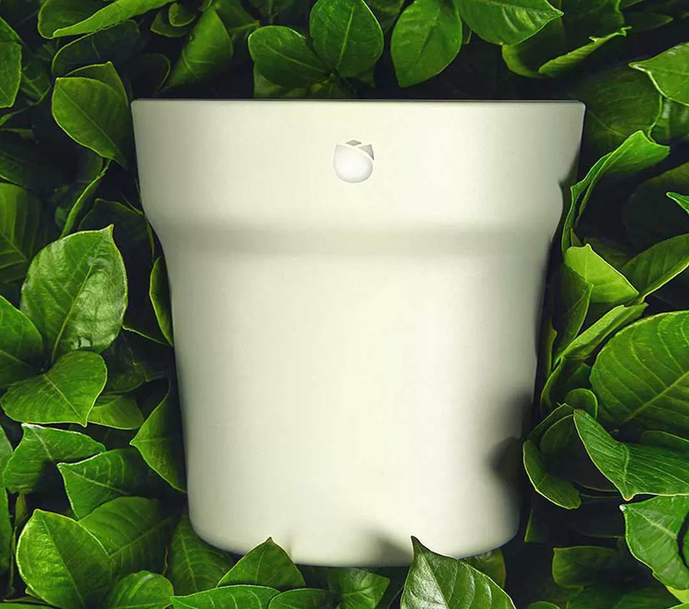 Гаджет для петрушки: Наблюдает, ухаживает, передает...