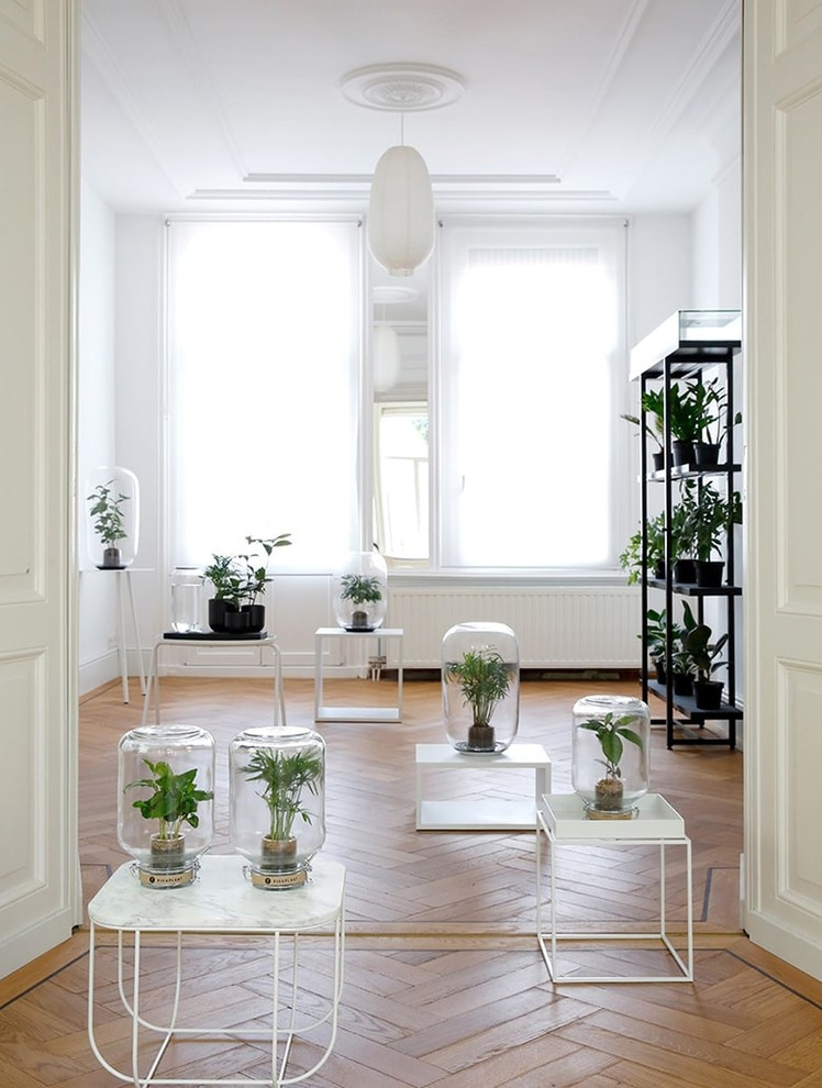 Гаджет для петрушки: Наблюдает, ухаживает, передает...