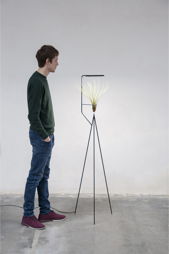 Гаджет для петрушки: Наблюдает, ухаживает, передает...