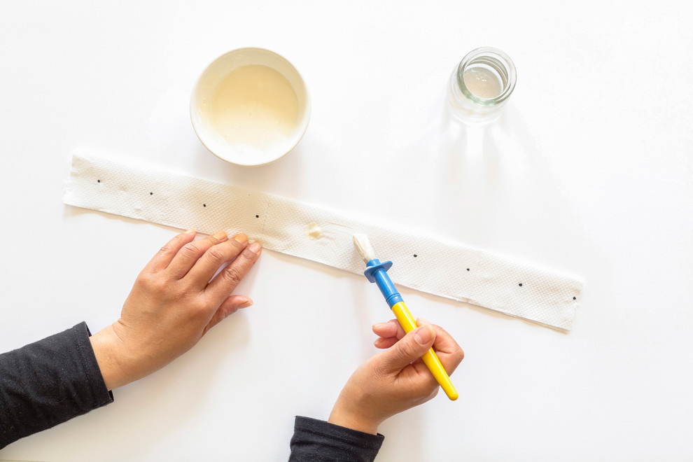 Своими руками: Подготовка семян моркови к посеву