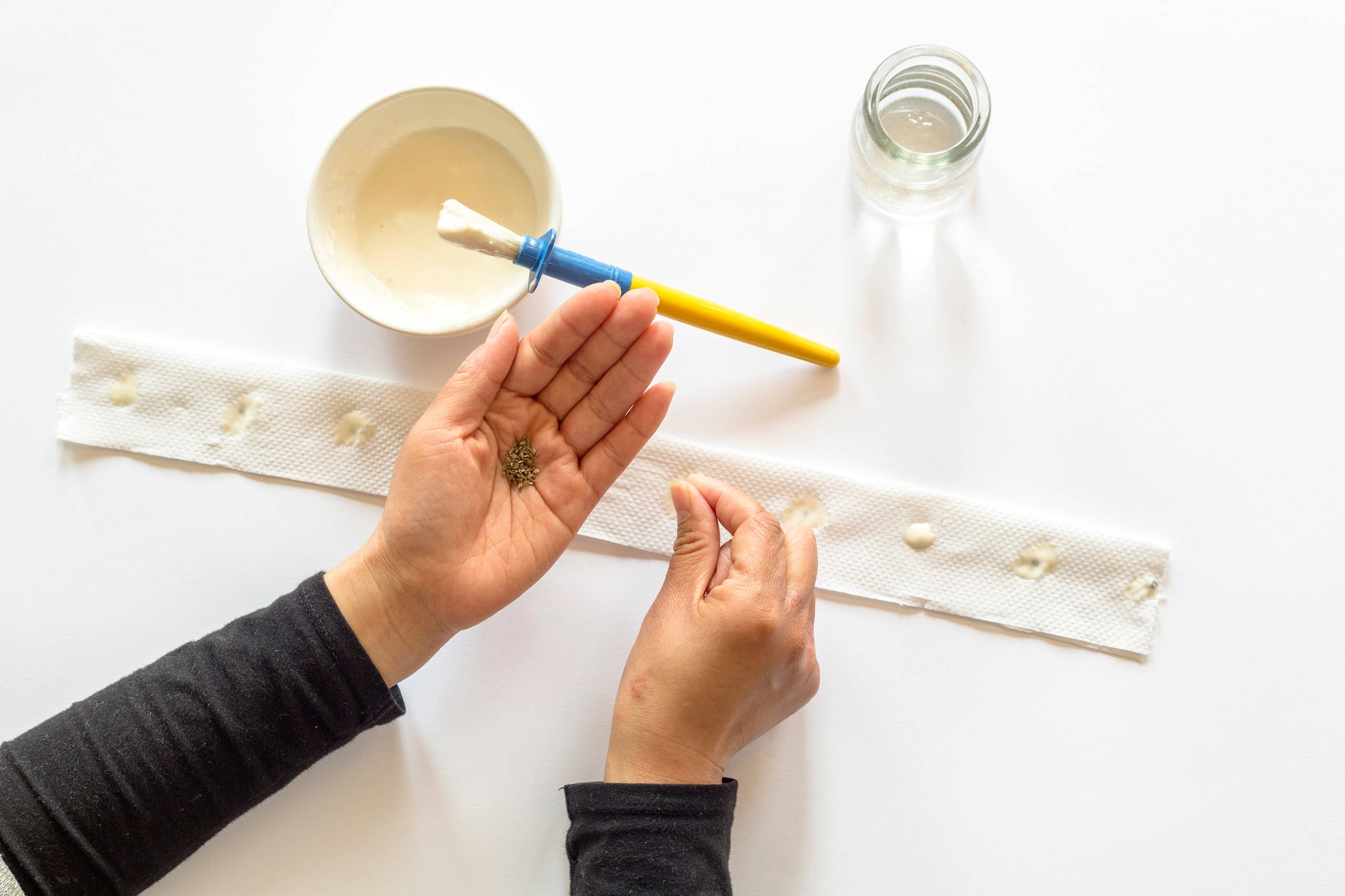 Своими руками: Подготовка семян моркови к посеву