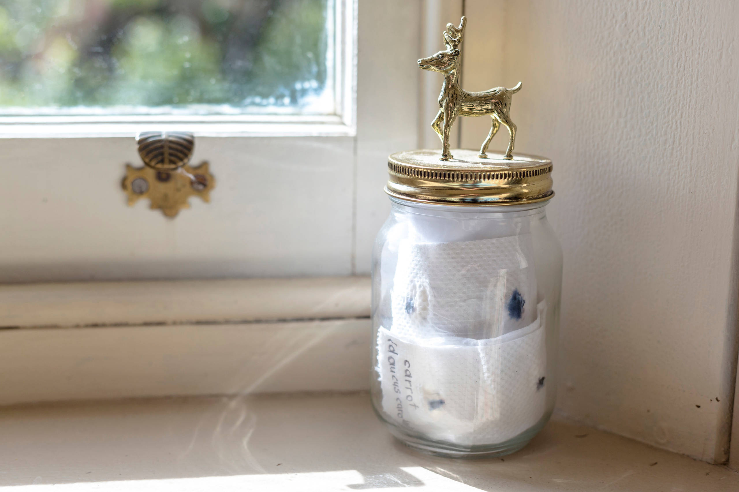 Своими руками: Подготовка семян моркови к посеву