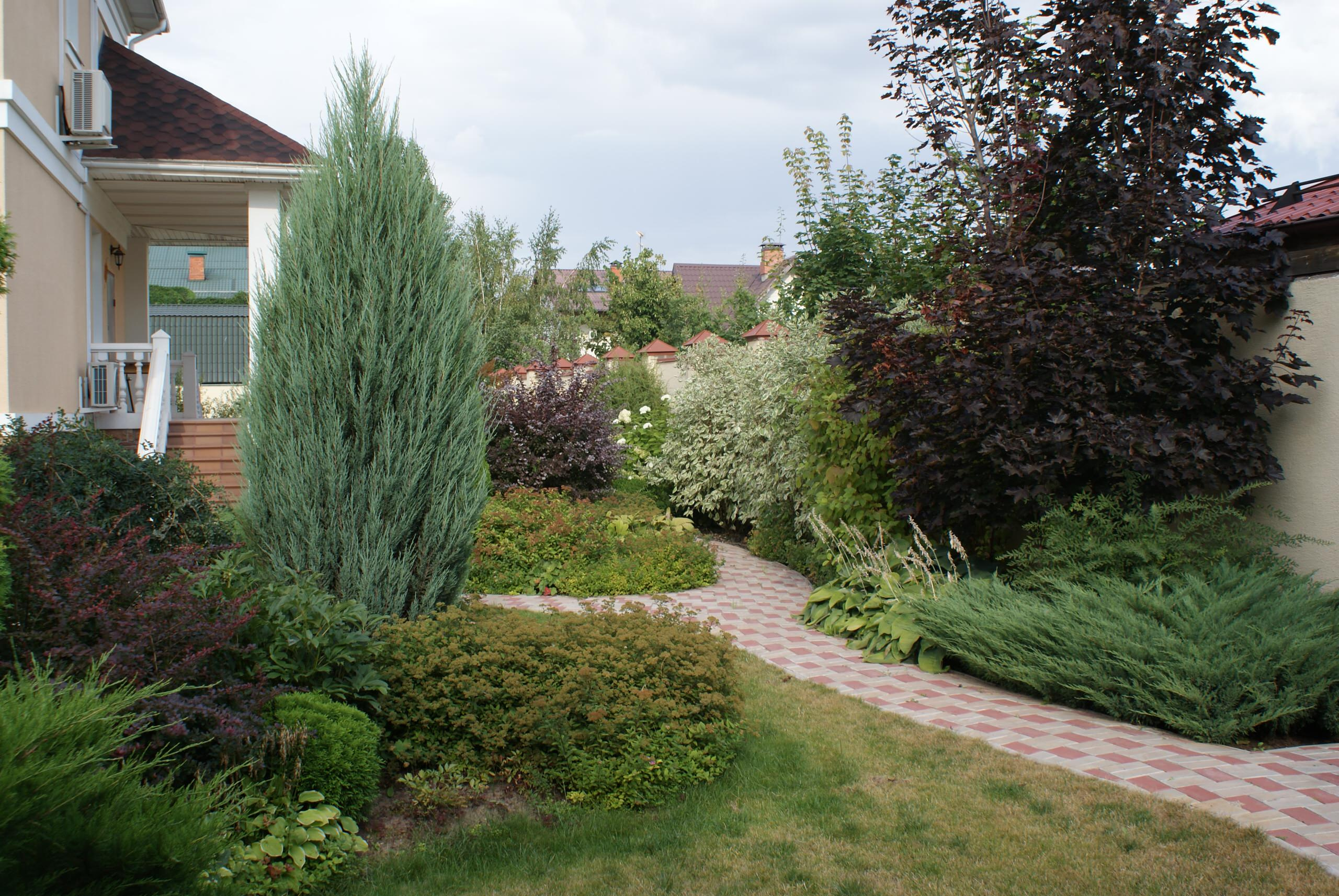 6 соток и меньше: Стратегии выбора растений