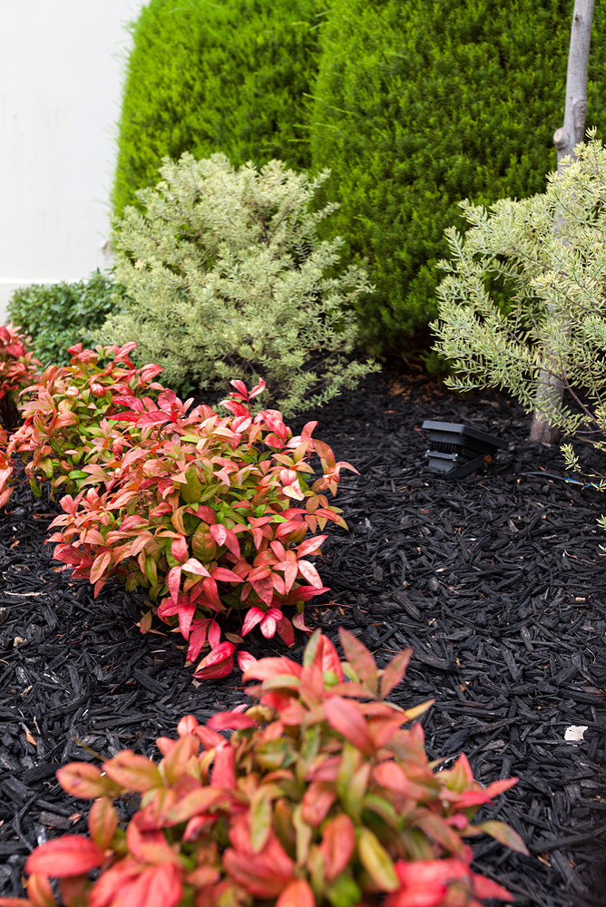 6 соток и меньше: Стратегии выбора растений