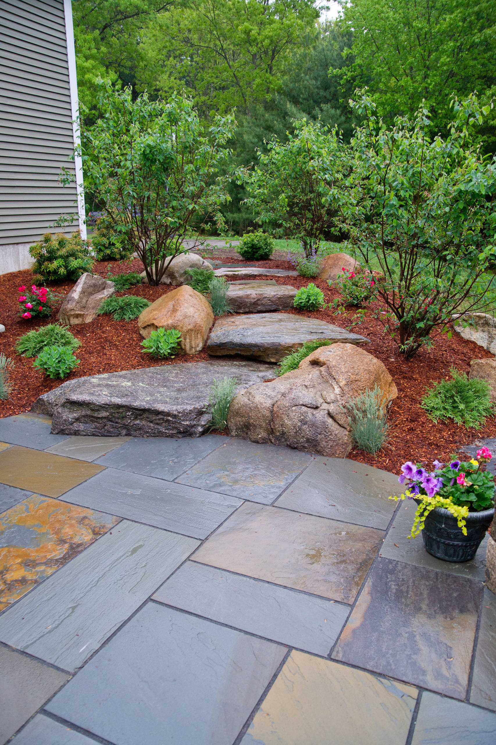 6 соток и меньше: Стратегии выбора растений