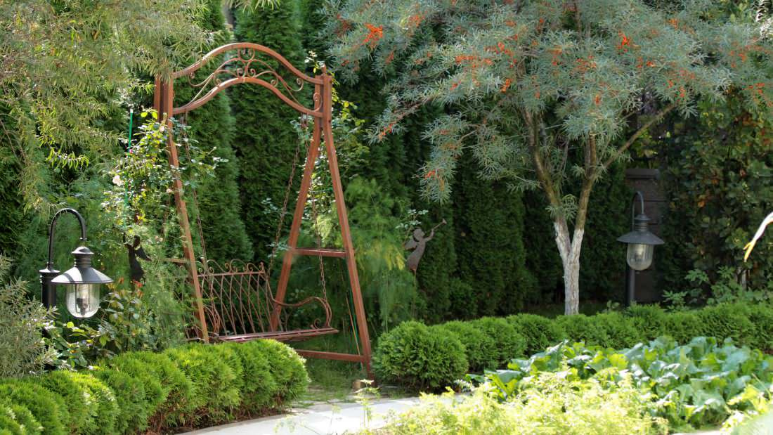 6 соток и меньше: Стратегии выбора растений