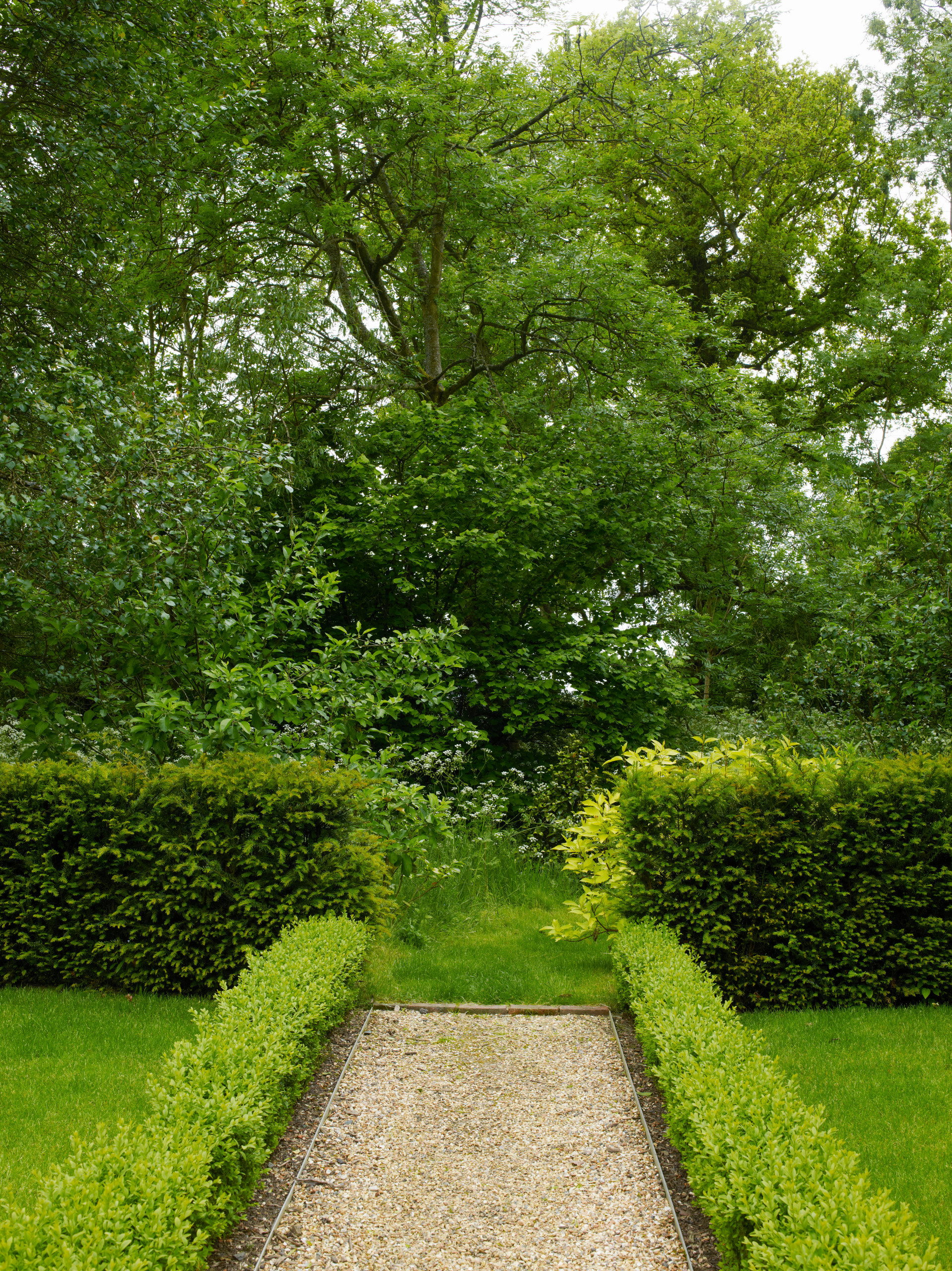 6 соток и меньше: Стратегии выбора растений