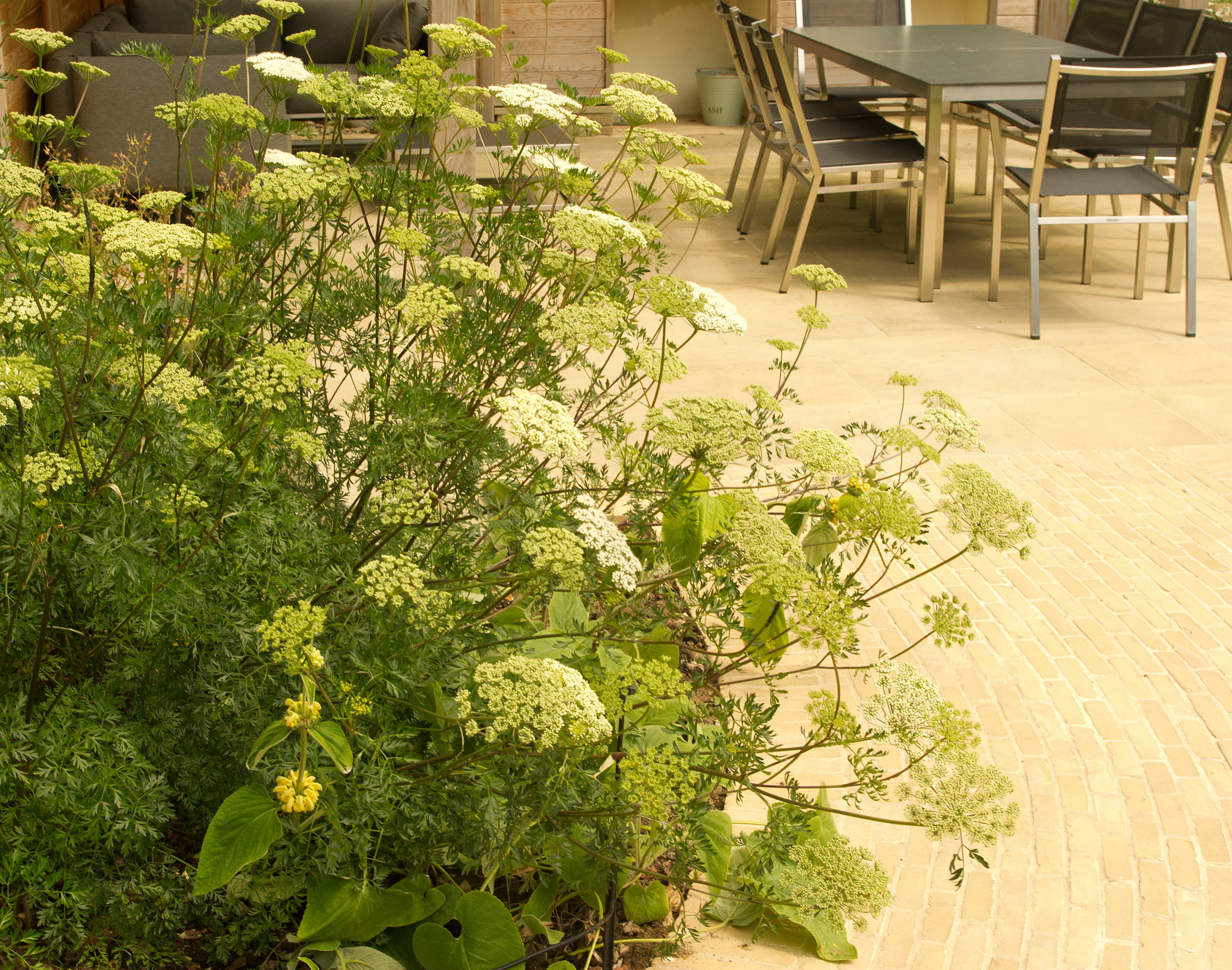 6 соток и меньше: Стратегии выбора растений