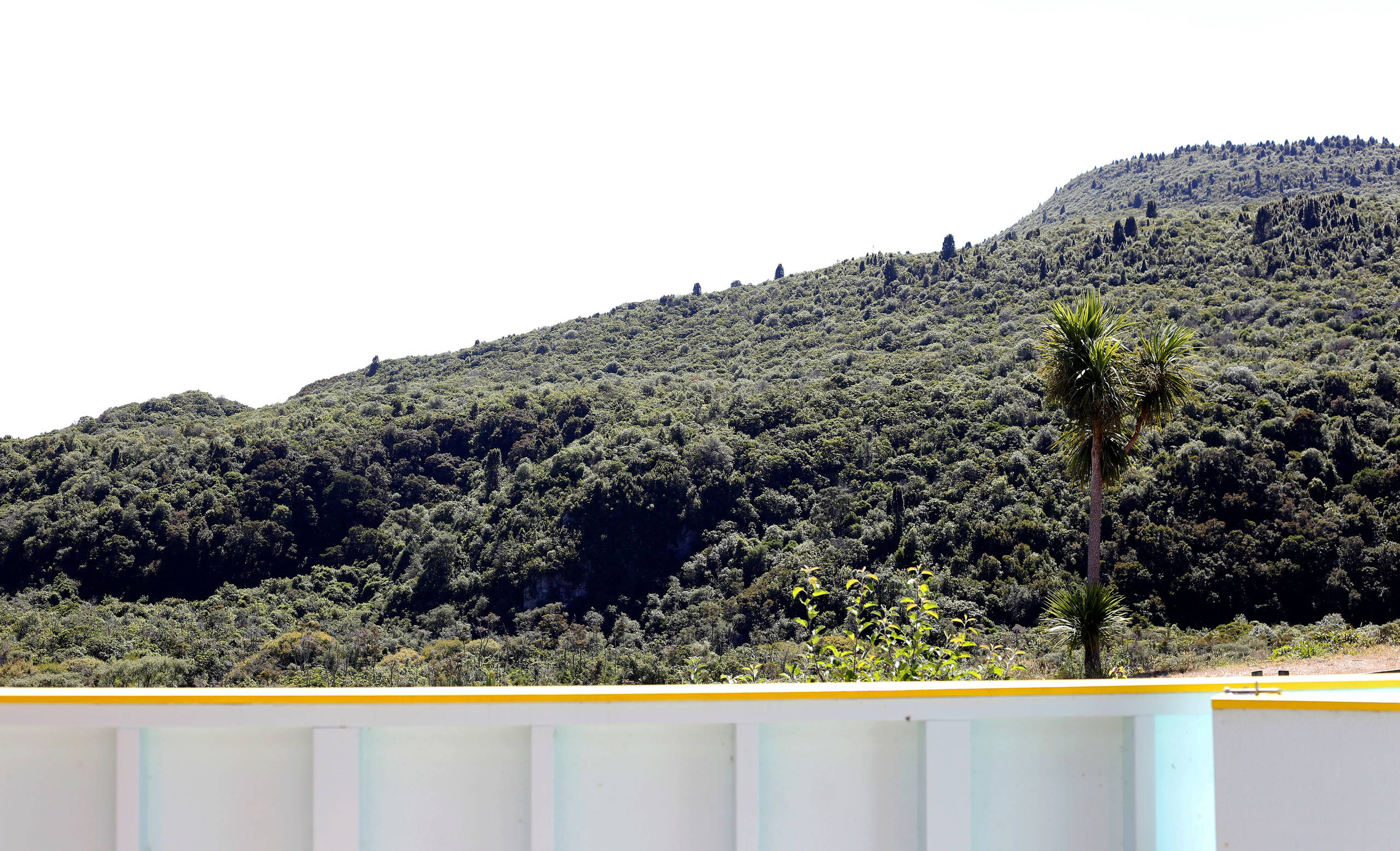 Houzz Новая Зеландия: Яркий дом с цветными рамами