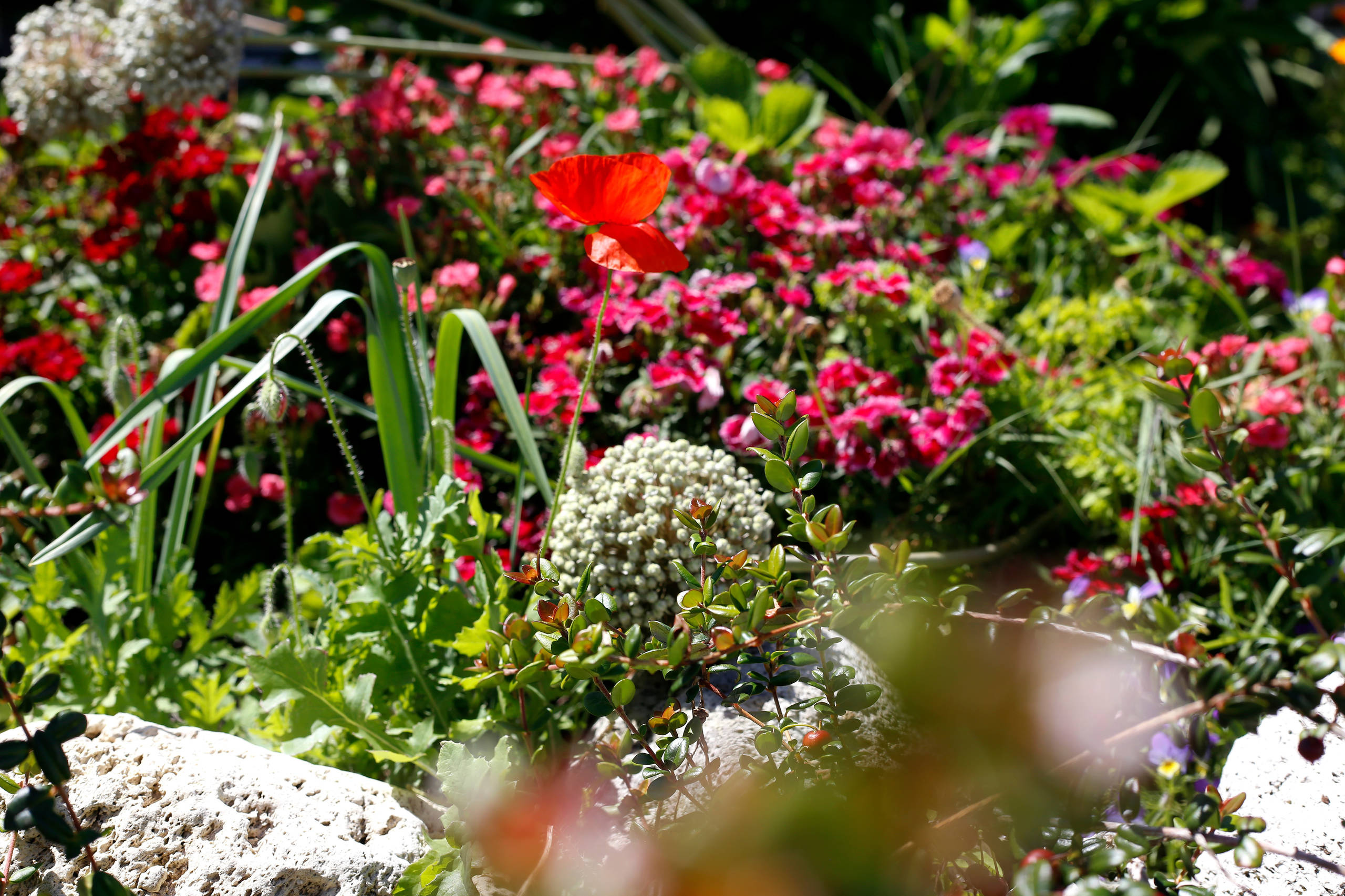 Houzz Новая Зеландия: Яркий дом с цветными рамами