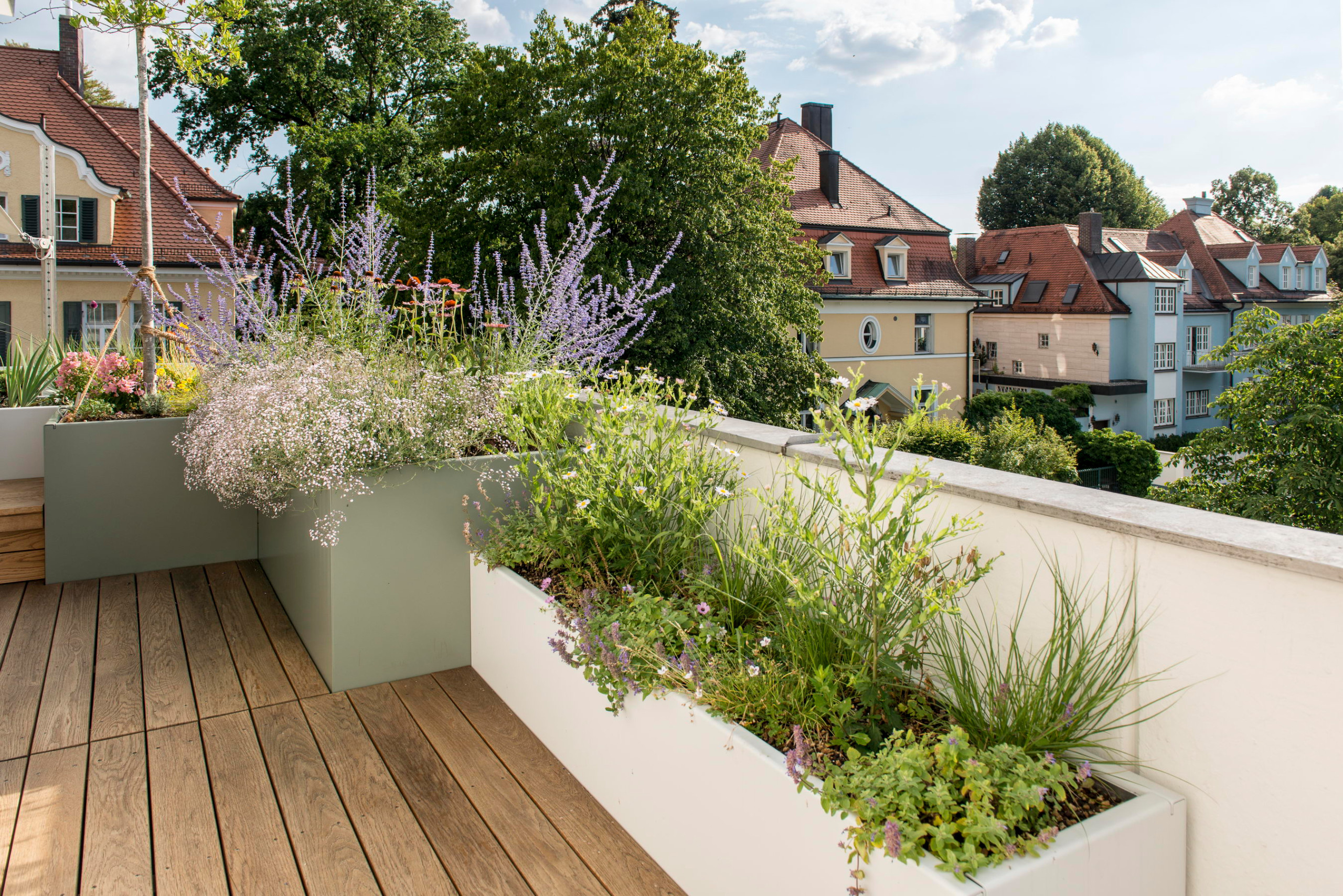 Проект недели: Озеленение террасы на крыше в Мюнхене