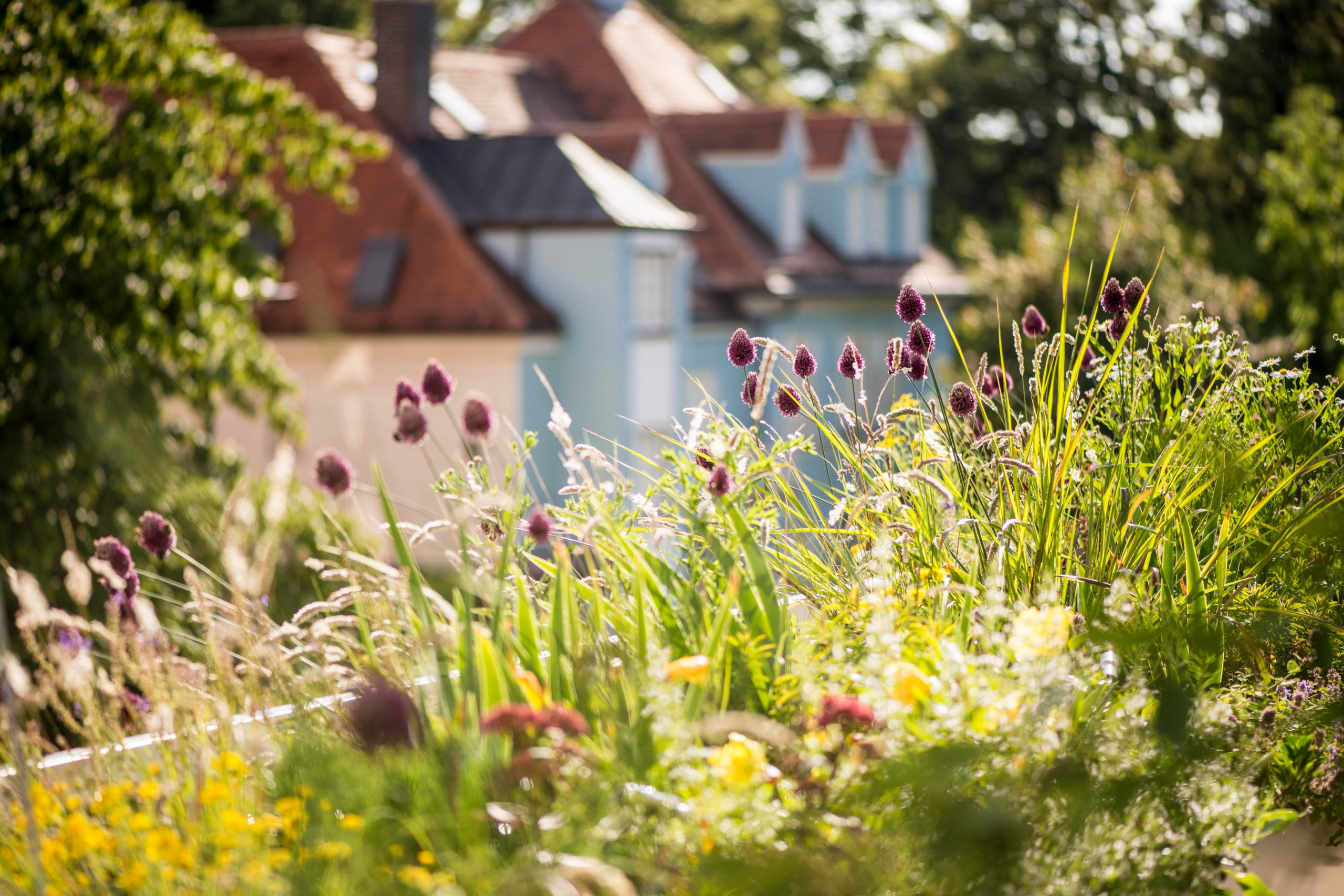 Проект недели: Озеленение террасы на крыше в Мюнхене