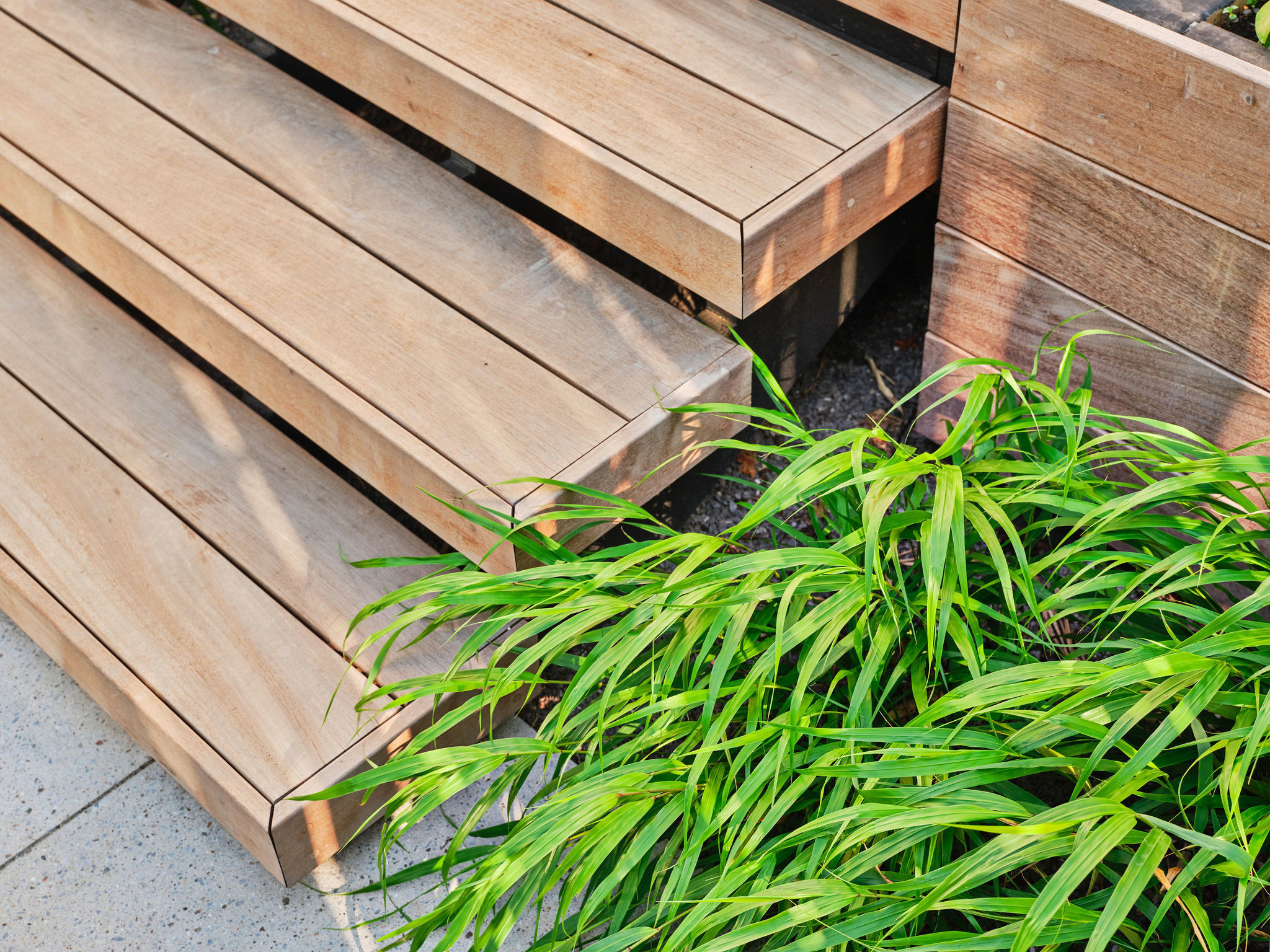 Сад недели: Крошечный дворик в центре Торонто