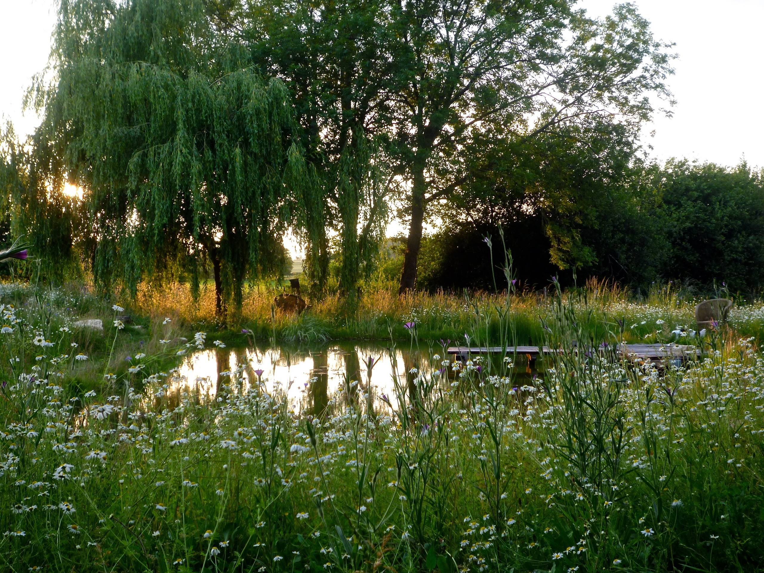Как правильно: Вести стройку, без ущерба живой природе