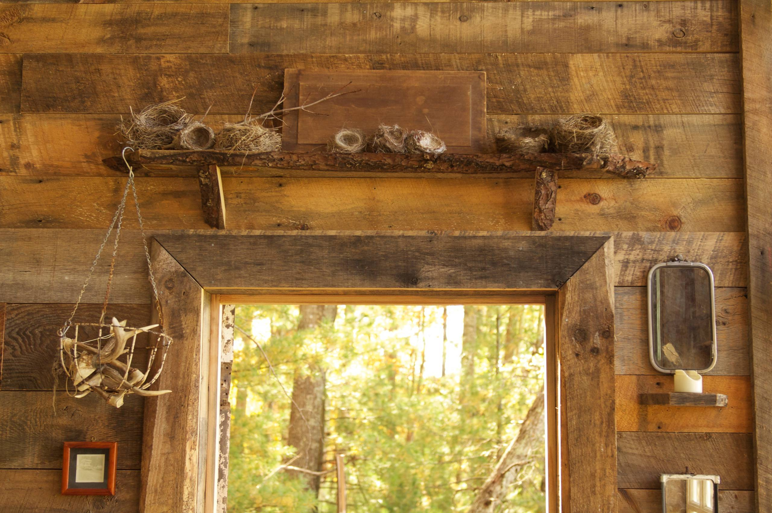 Как правильно: Вести стройку, без ущерба живой природе