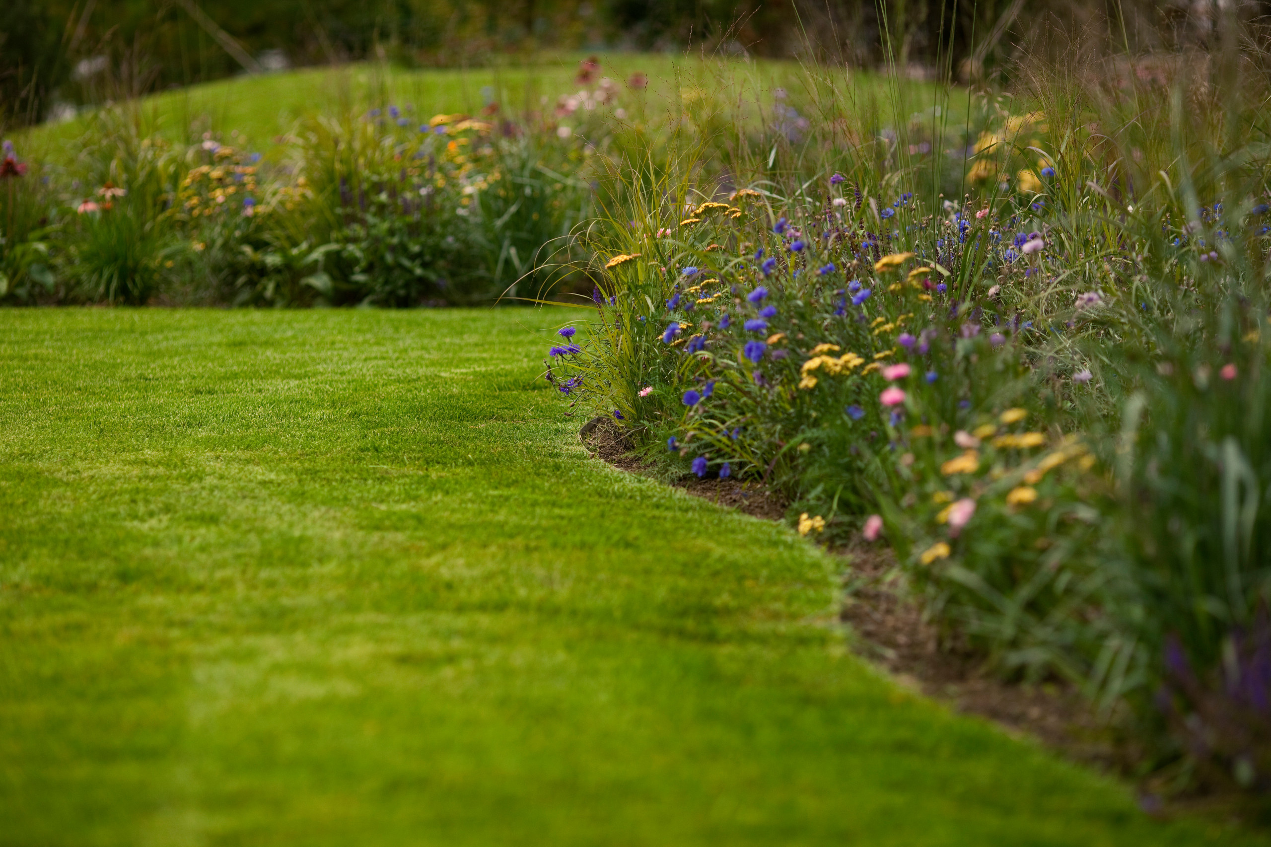 Дизайн клумбы: Шаг за шагом