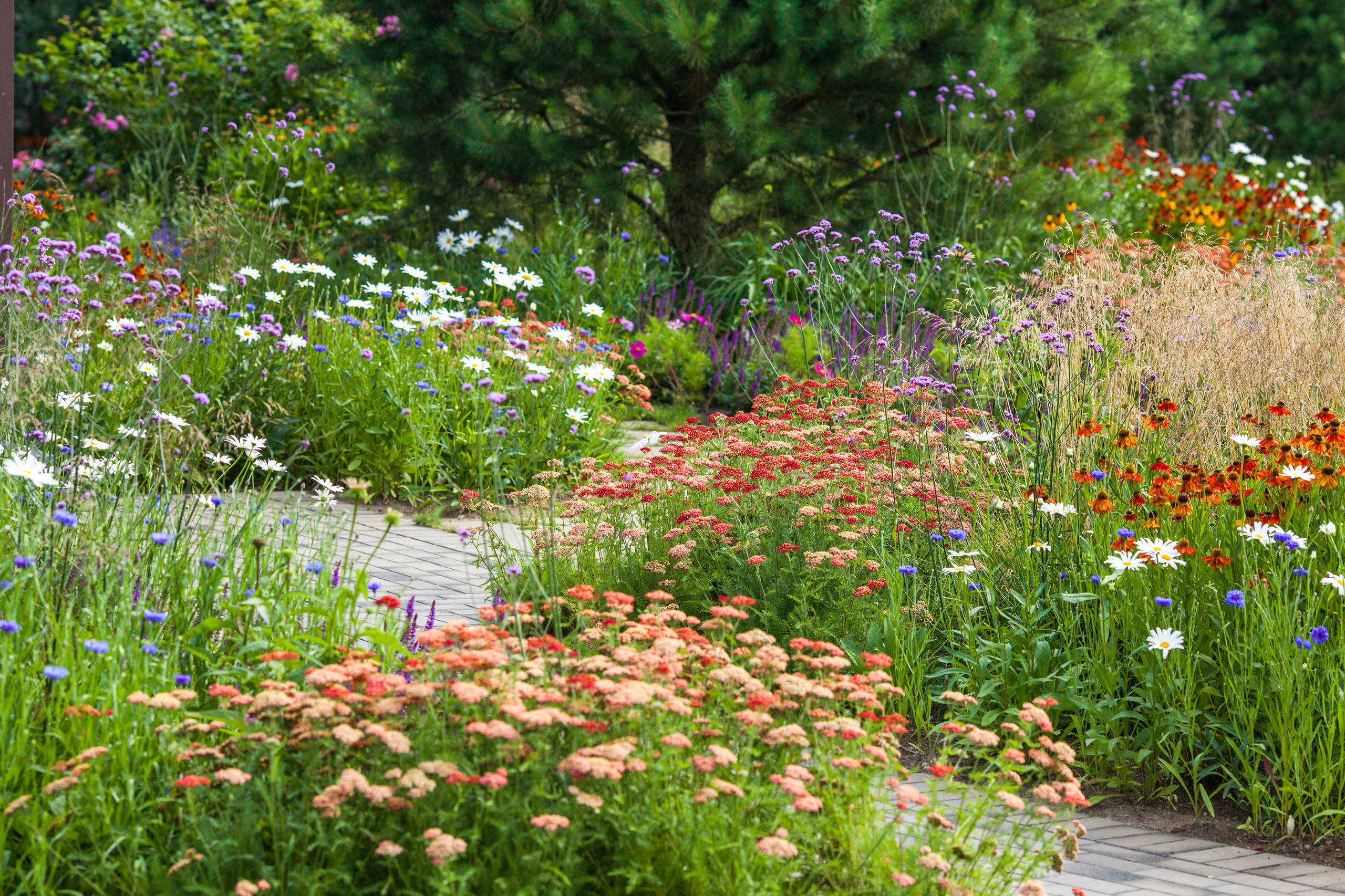 Дизайн клумбы: Шаг за шагом