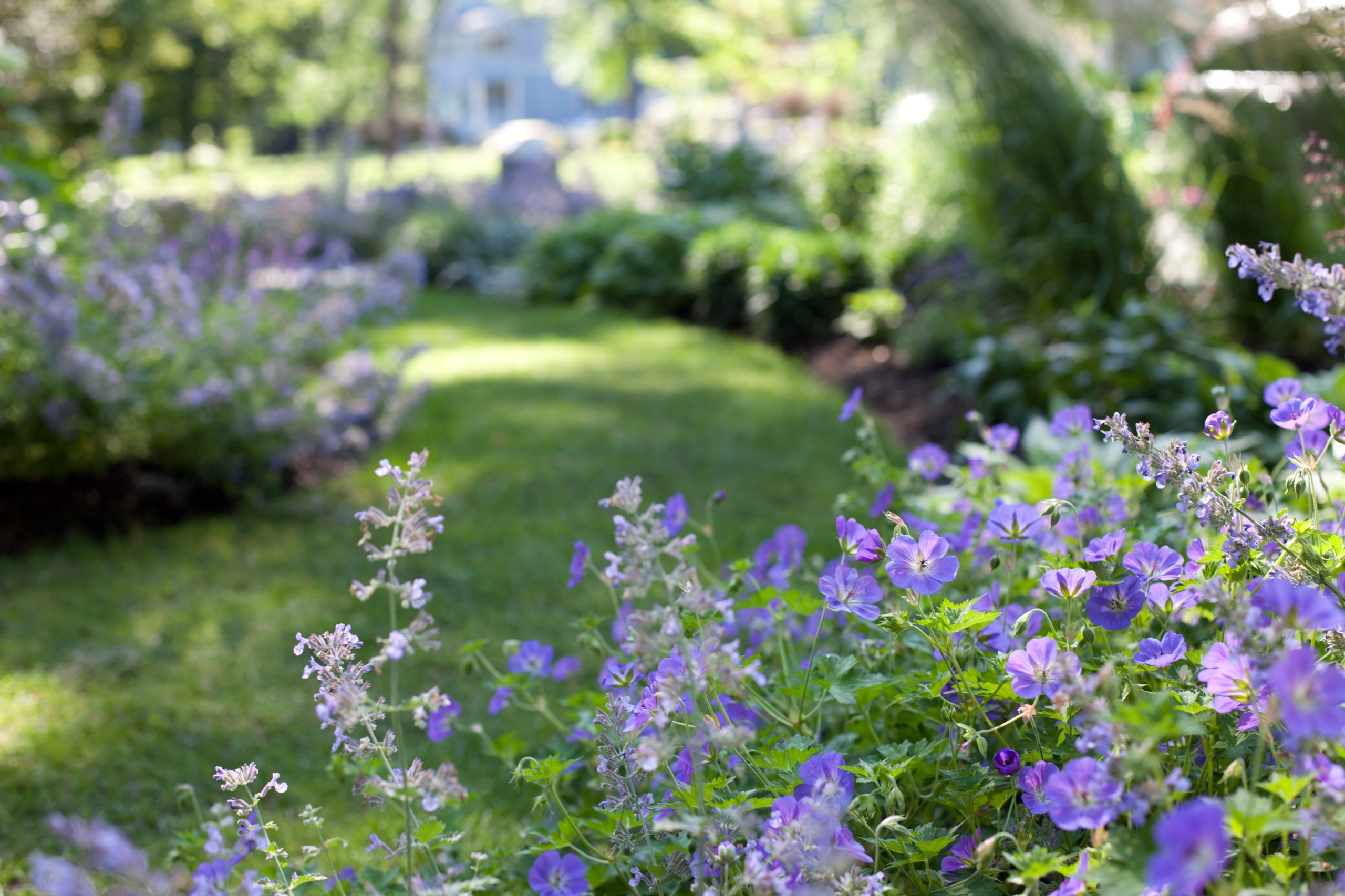 Дизайн клумбы: Шаг за шагом