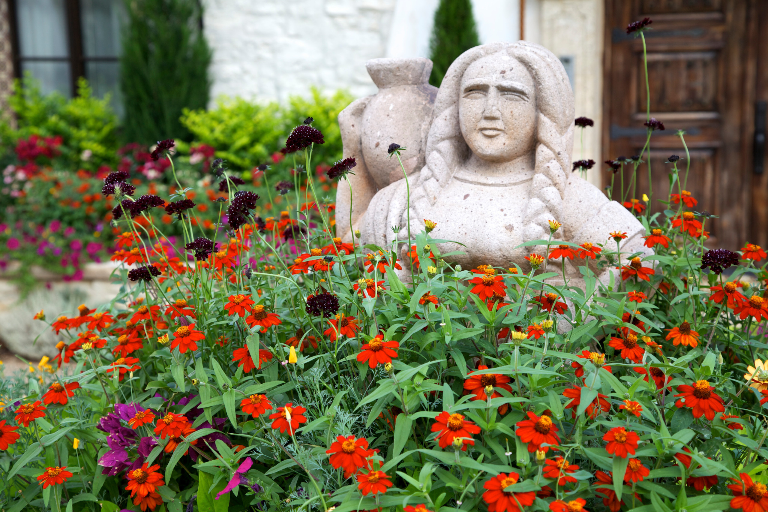 Дизайн клумбы: Шаг за шагом