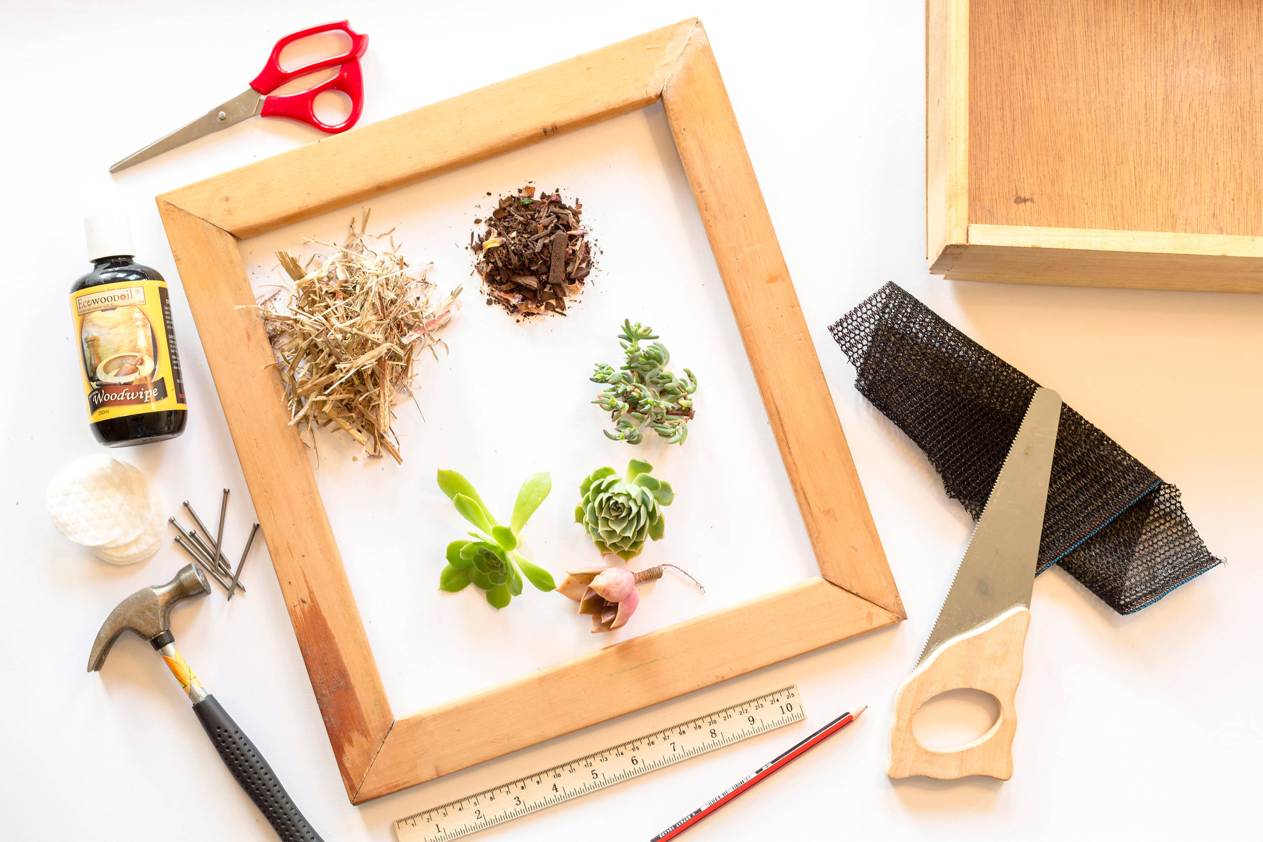 Сделай сам: Как изготовить панно из суккулентов