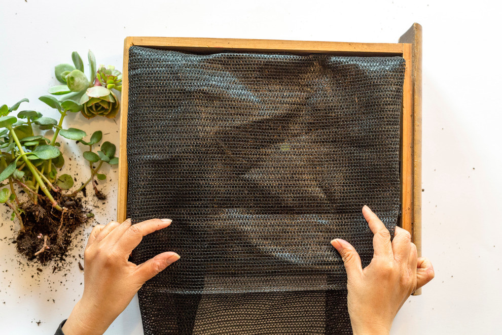 Сделай сам: Как изготовить панно из суккулентов