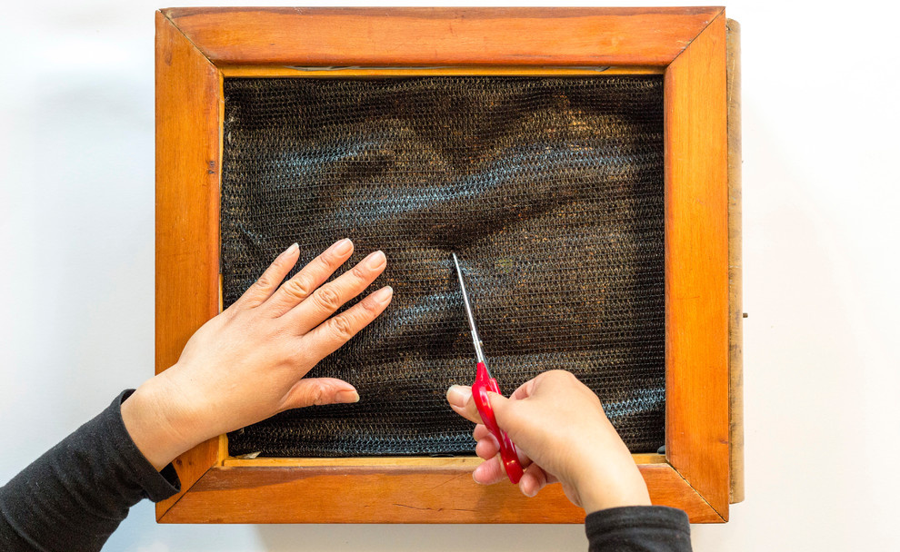 Сделай сам: Как изготовить панно из суккулентов