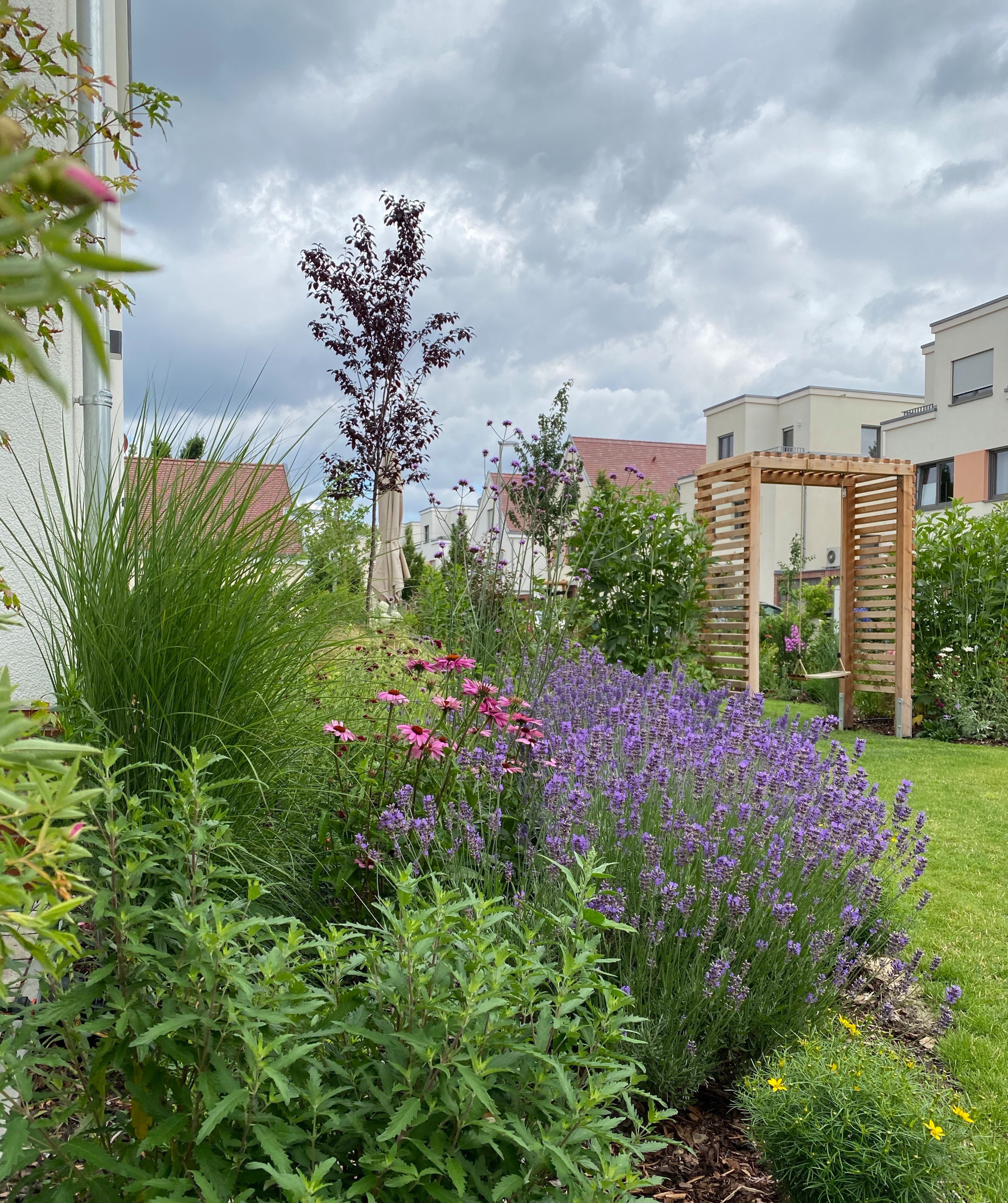 Сад недели: 4 сотки в Берлине — угловой участок