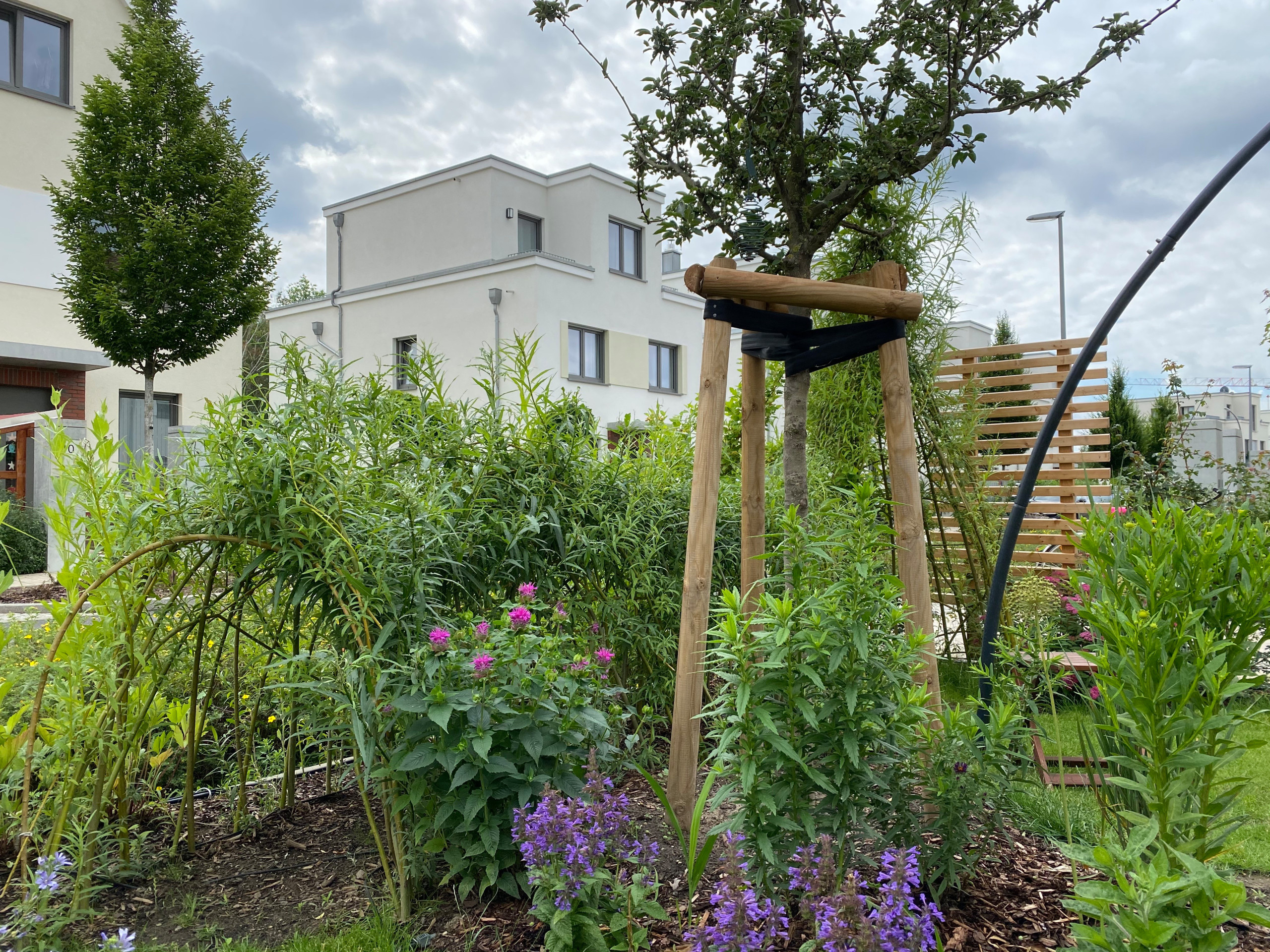 Сад недели: 4 сотки в Берлине — угловой участок