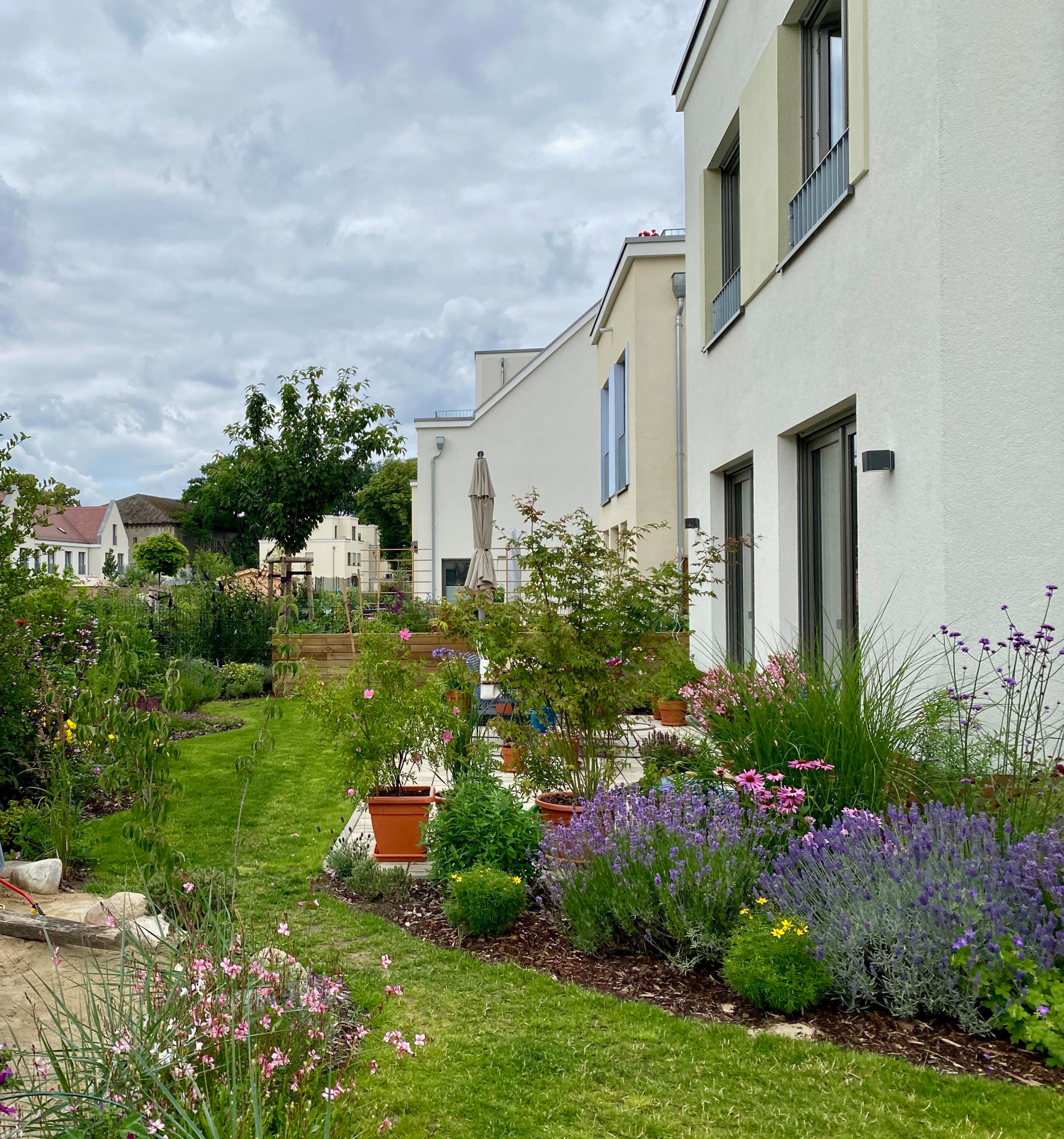 Сад недели: 4 сотки в Берлине — угловой участок