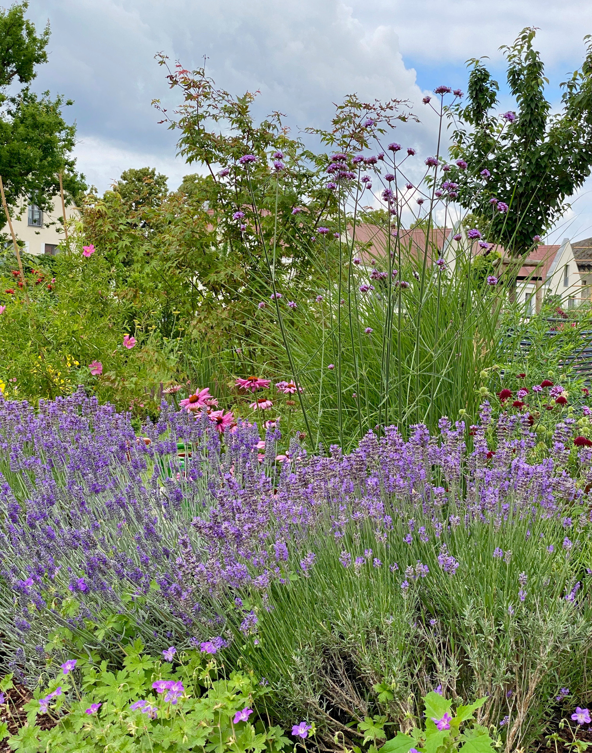 Сад недели: 4 сотки в Берлине — угловой участок