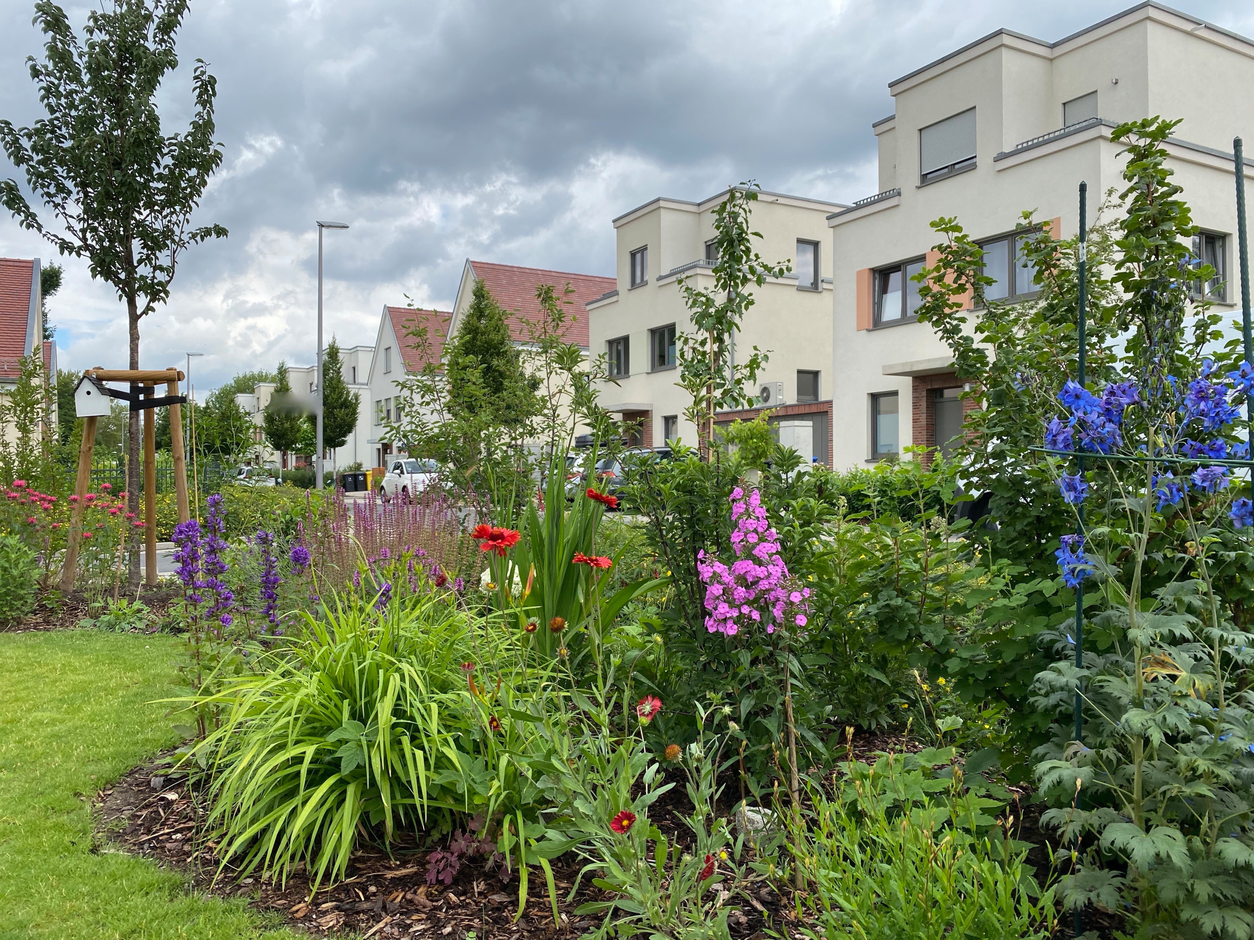 Сад недели: 4 сотки в Берлине — угловой участок