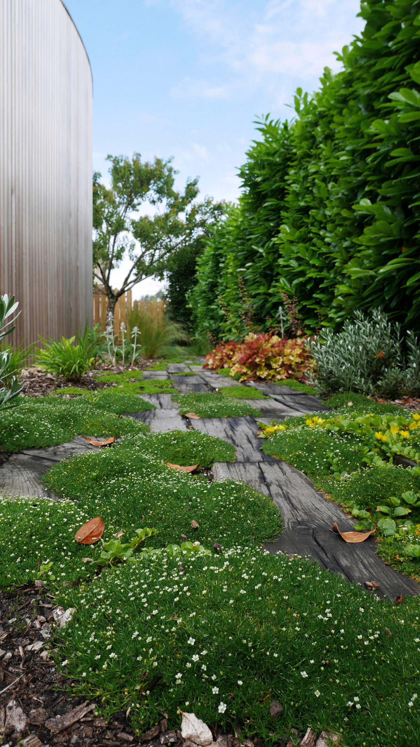 До и после: Метаморфозы обновленного сада под Бордо