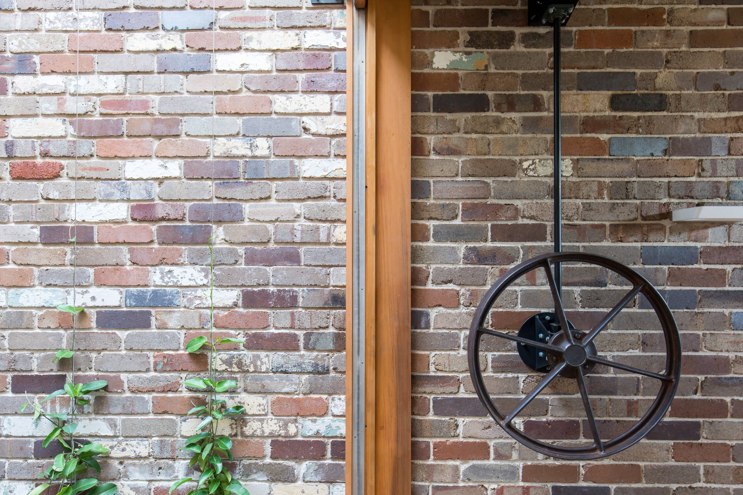 Houzz Австралия: Энергоэффективный дом с... курятником