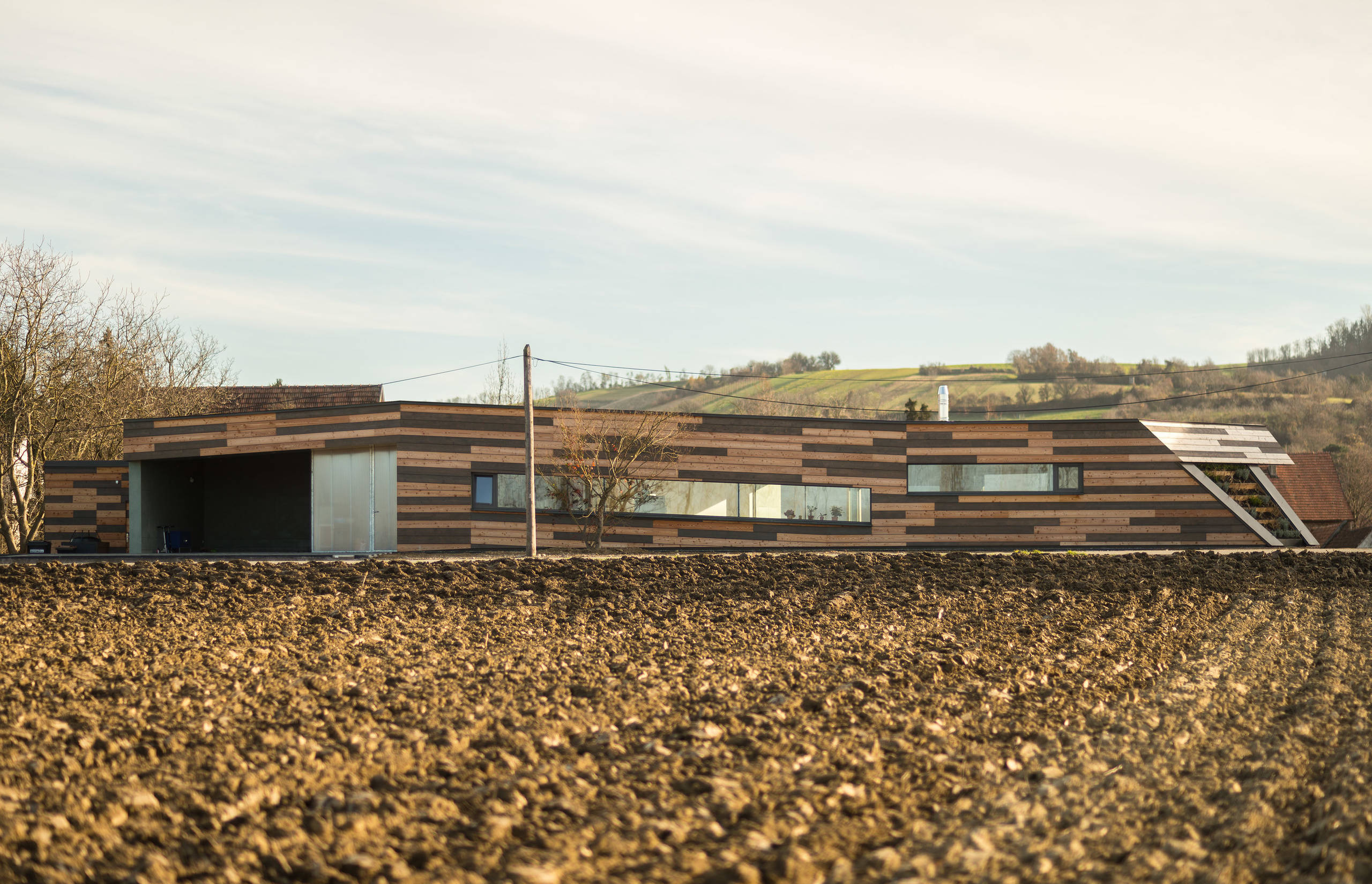 Houzz Австрия: Деревянный дом с «зеленой» крышей под Веной